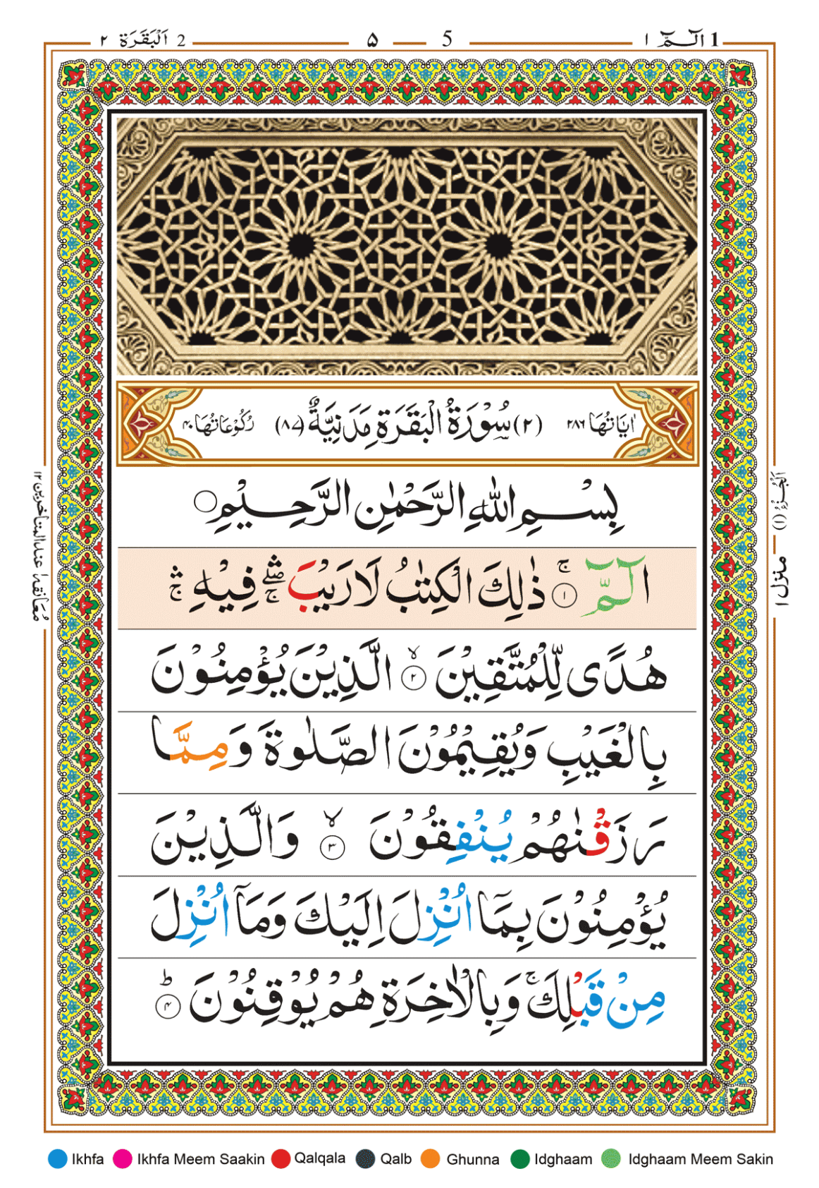 Page Background