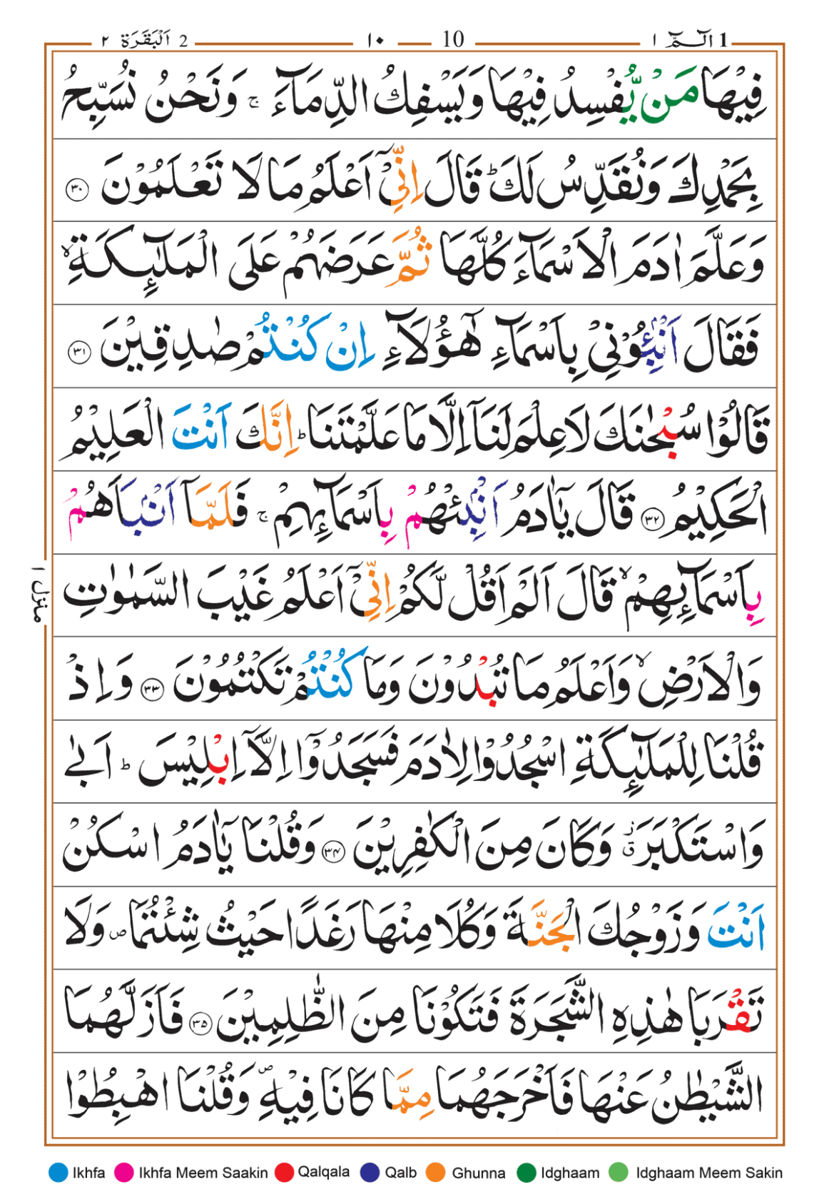 Page Background