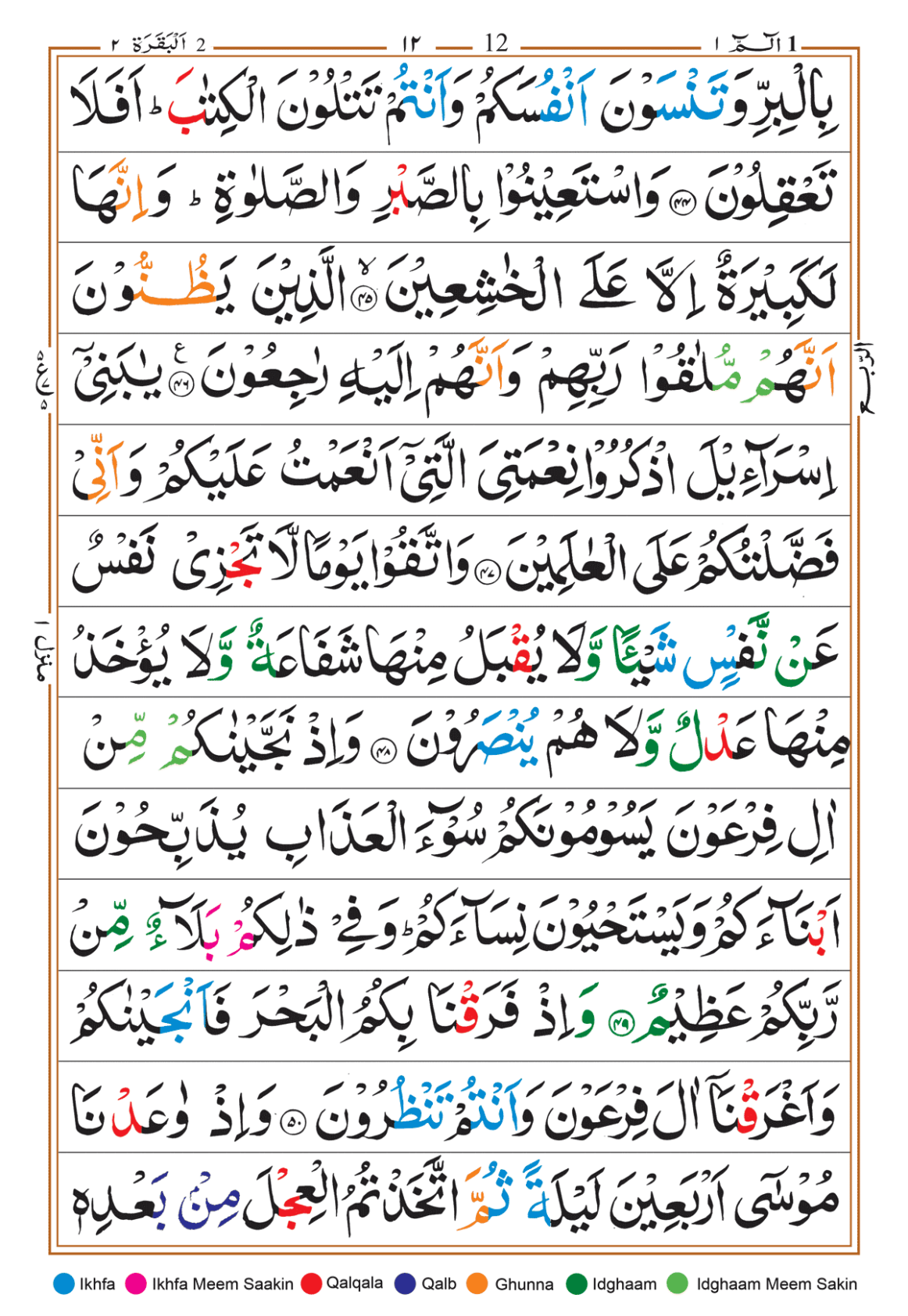 Page Background