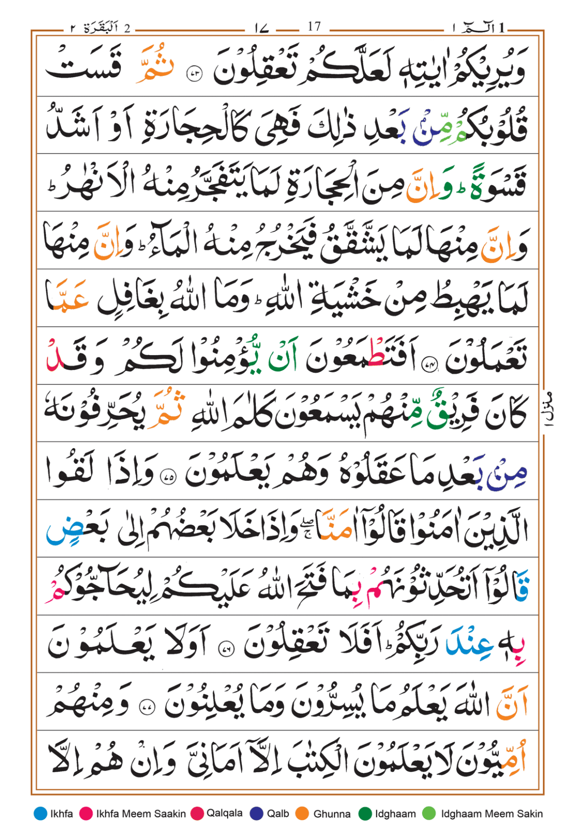 Page Background