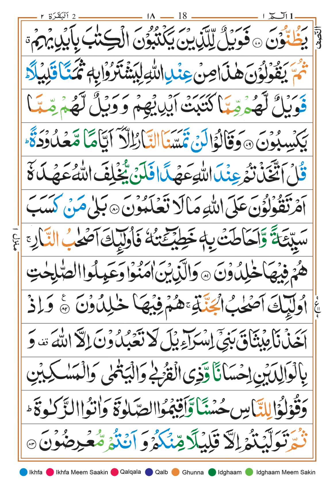 Page Background