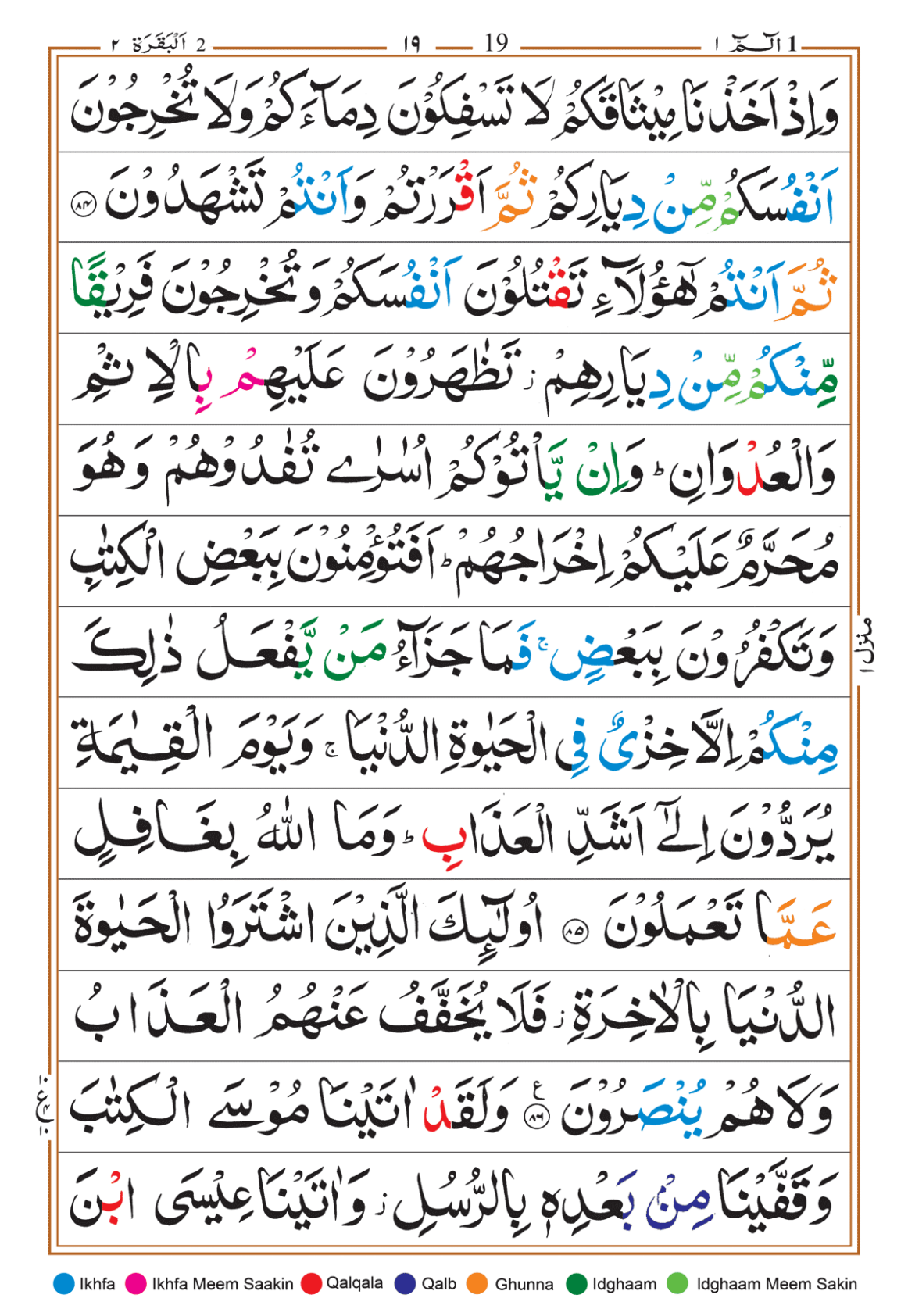 Page Background