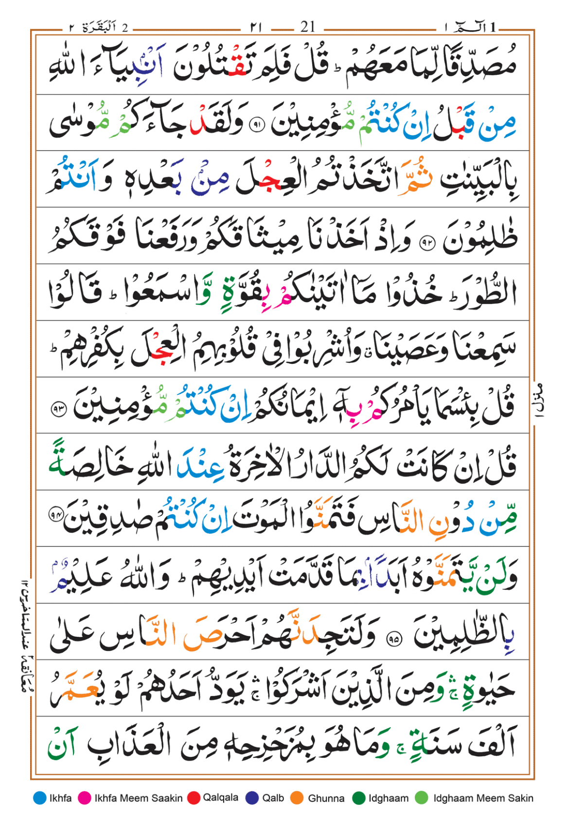 Page Background