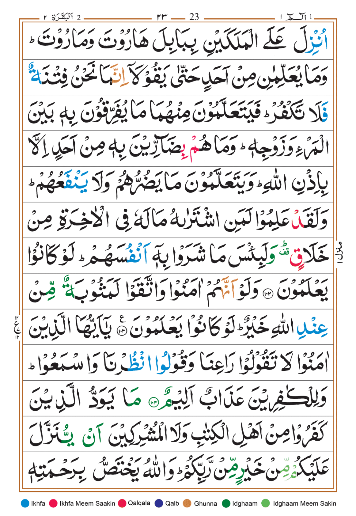 Page Background