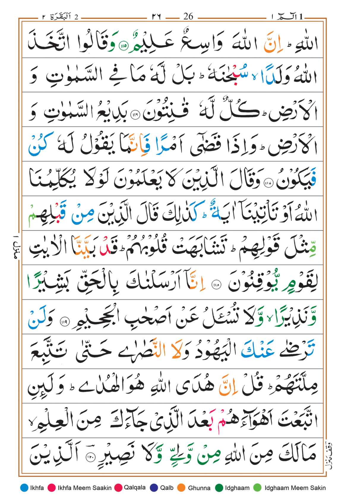 Page Background