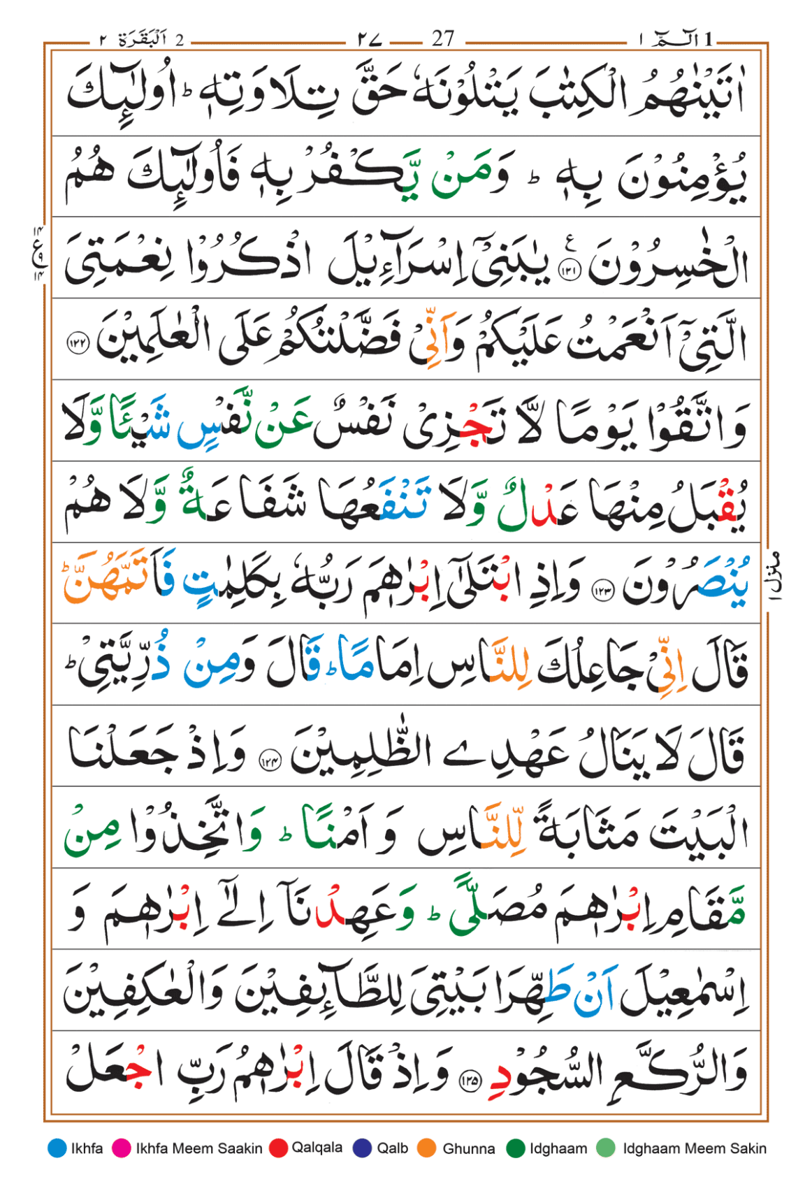 Page Background