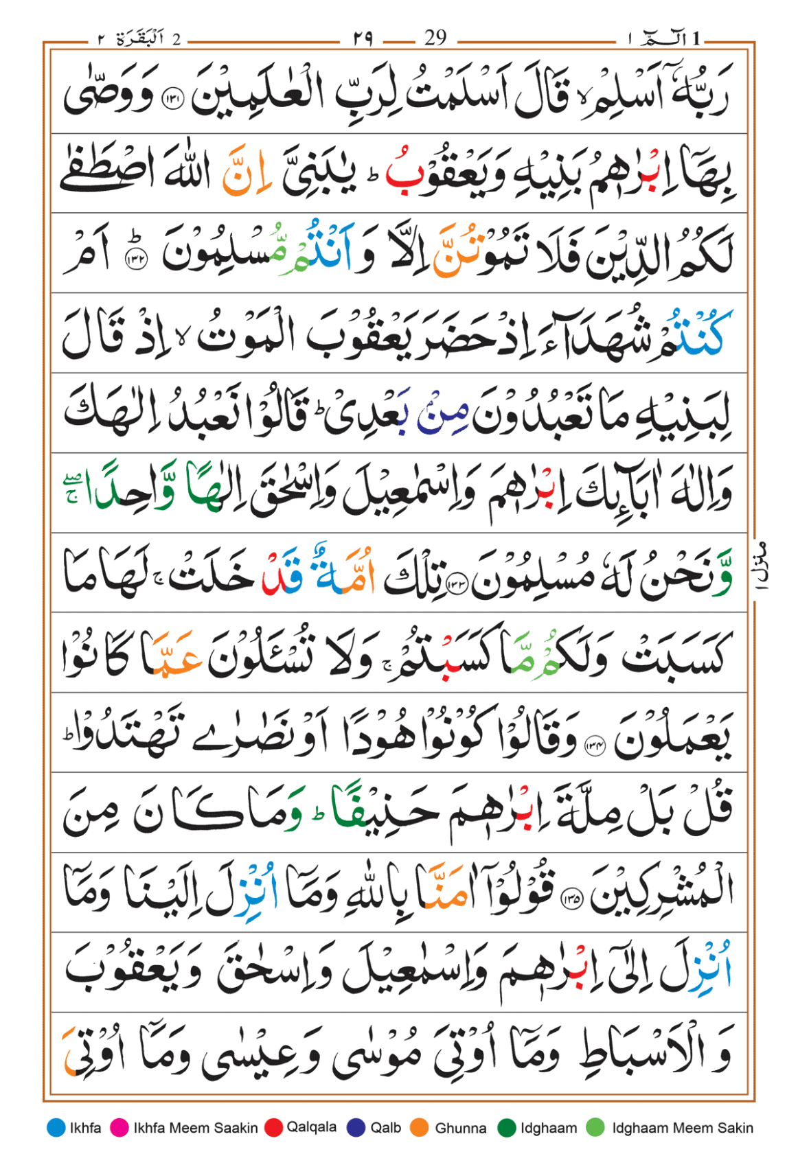 Page Background