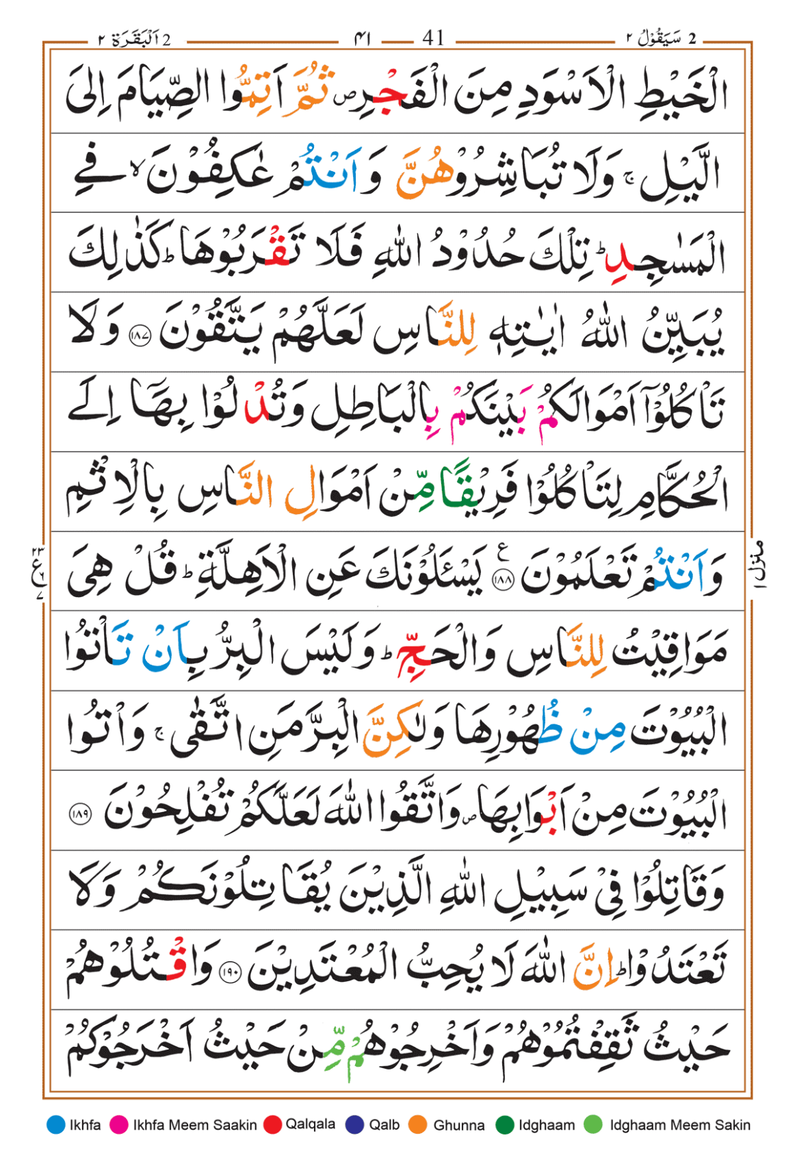 Page Background