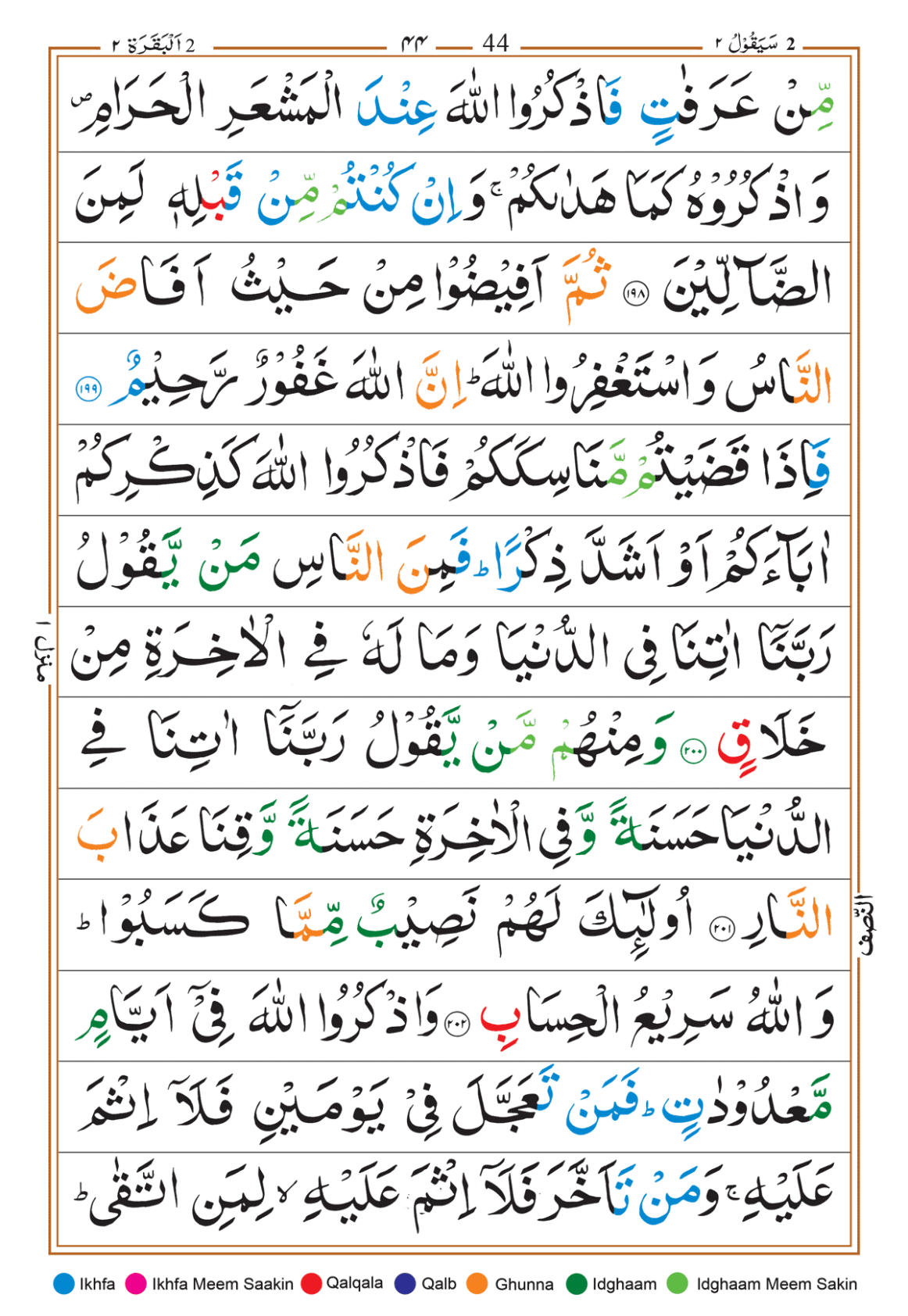 Page Background