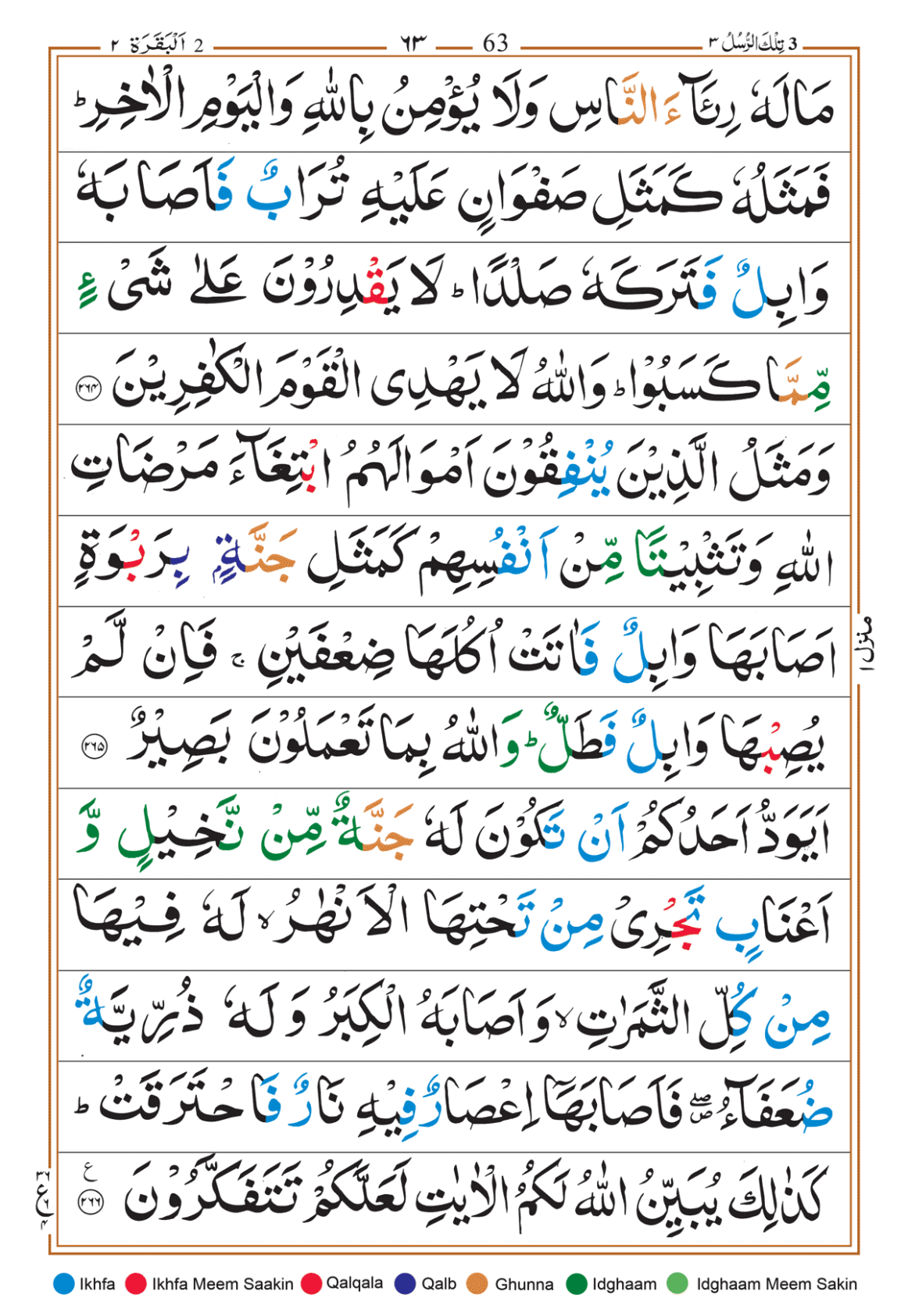 Page Background