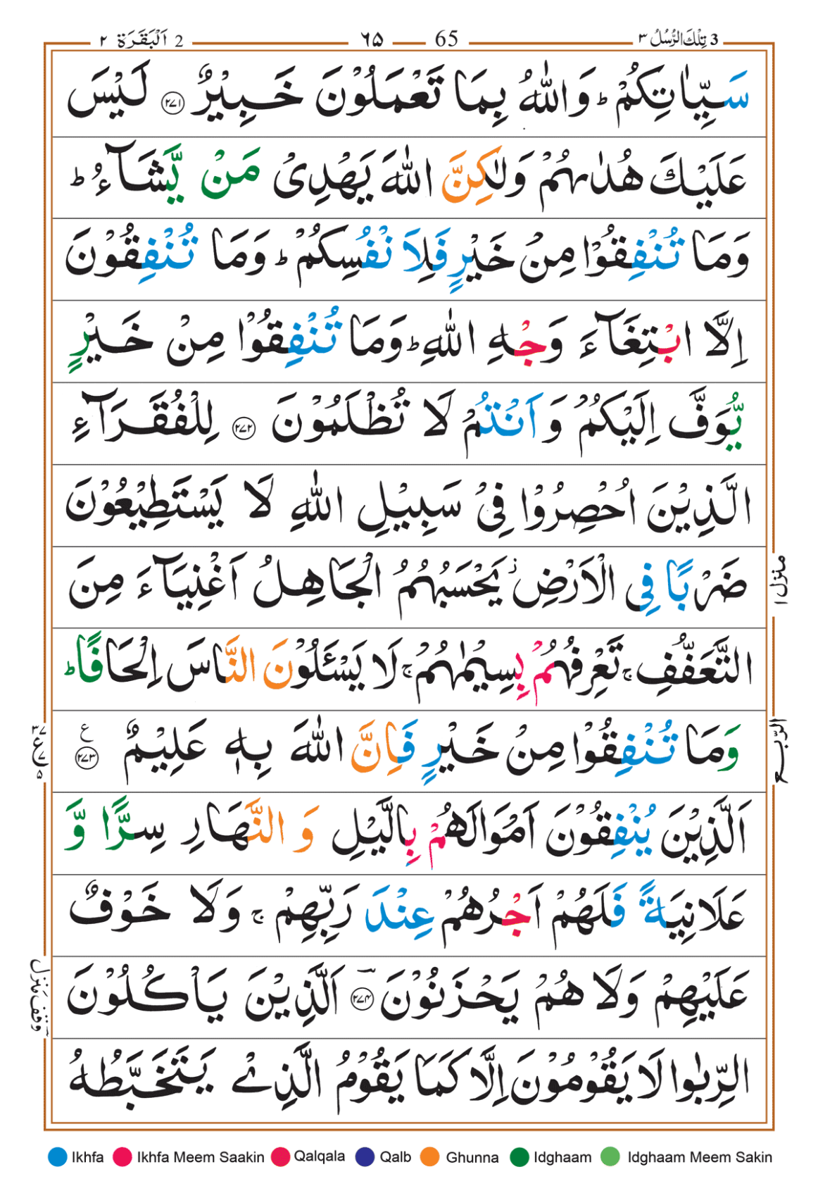 Page Background