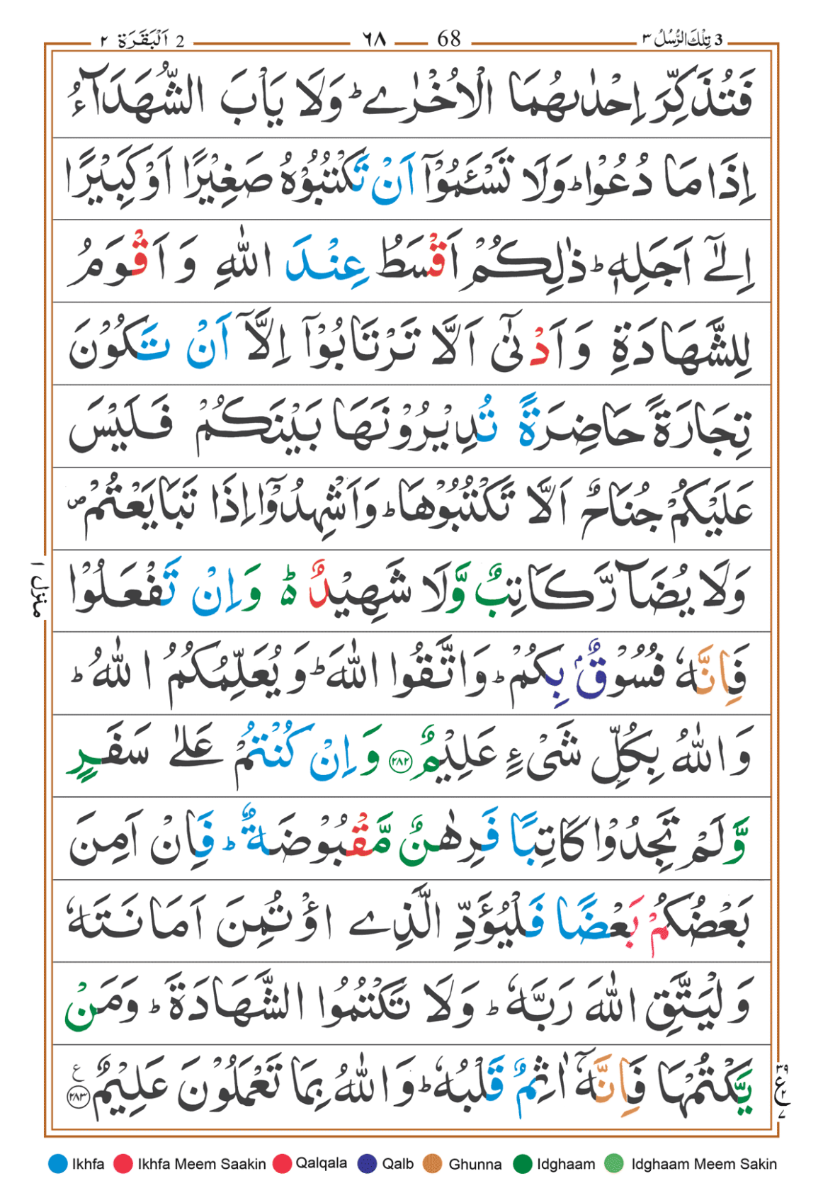 Page Background