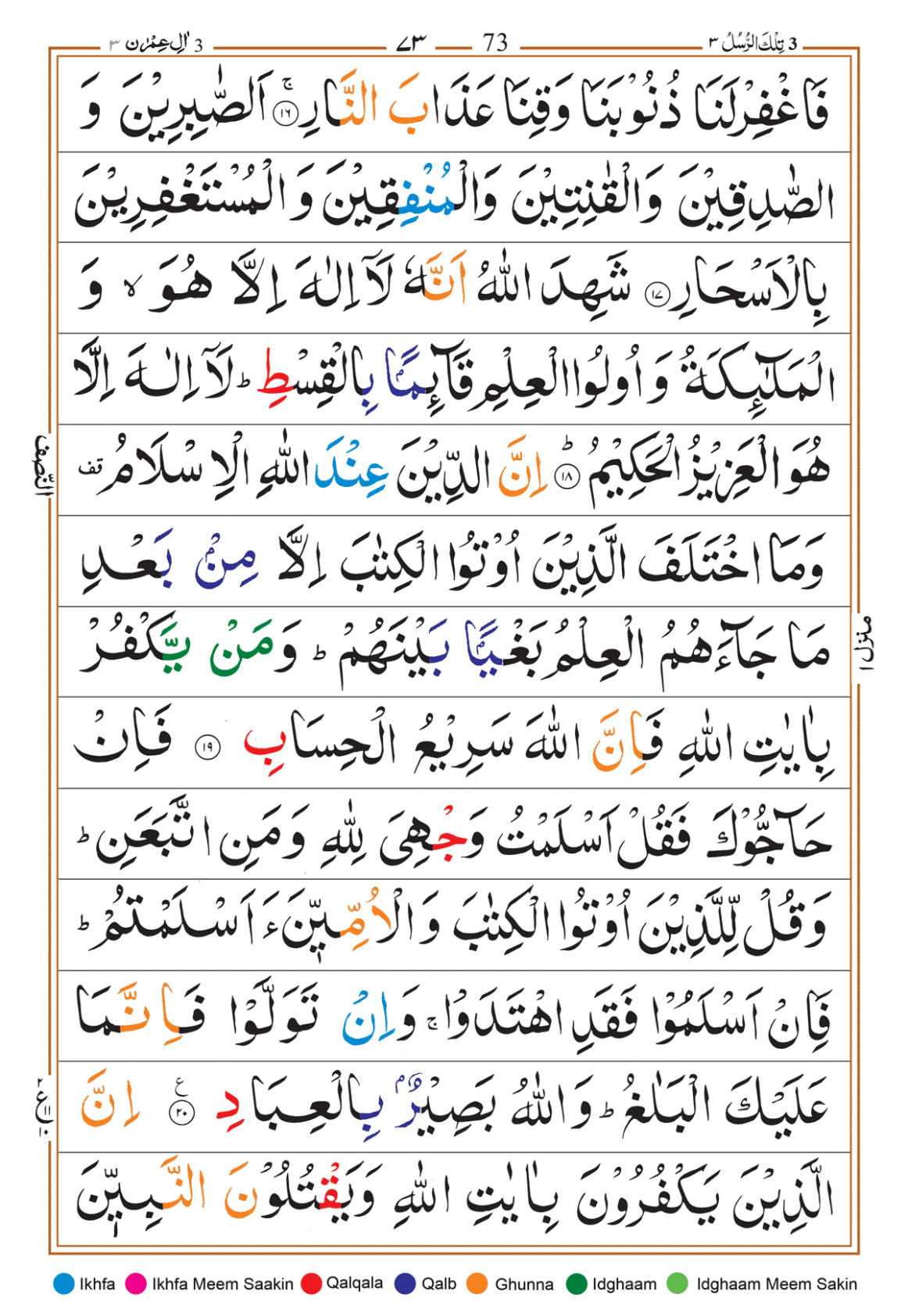 Page Background