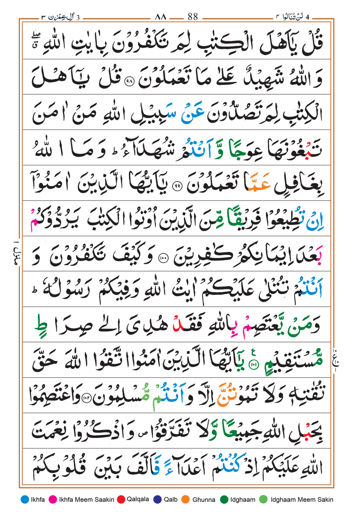 Page Background