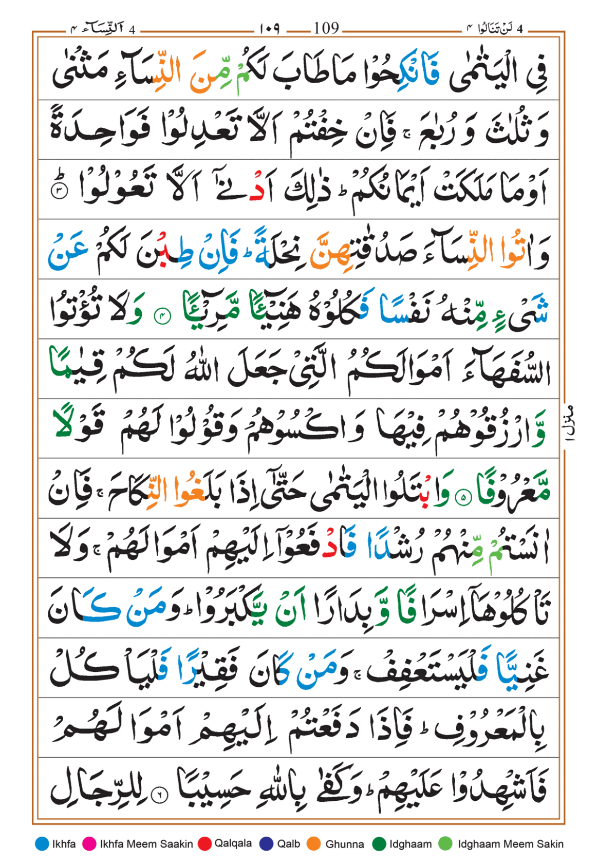 Page Background