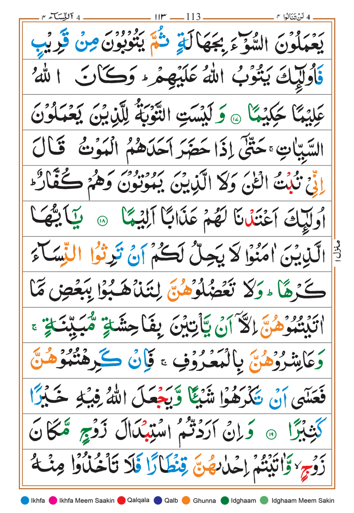 Page Background
