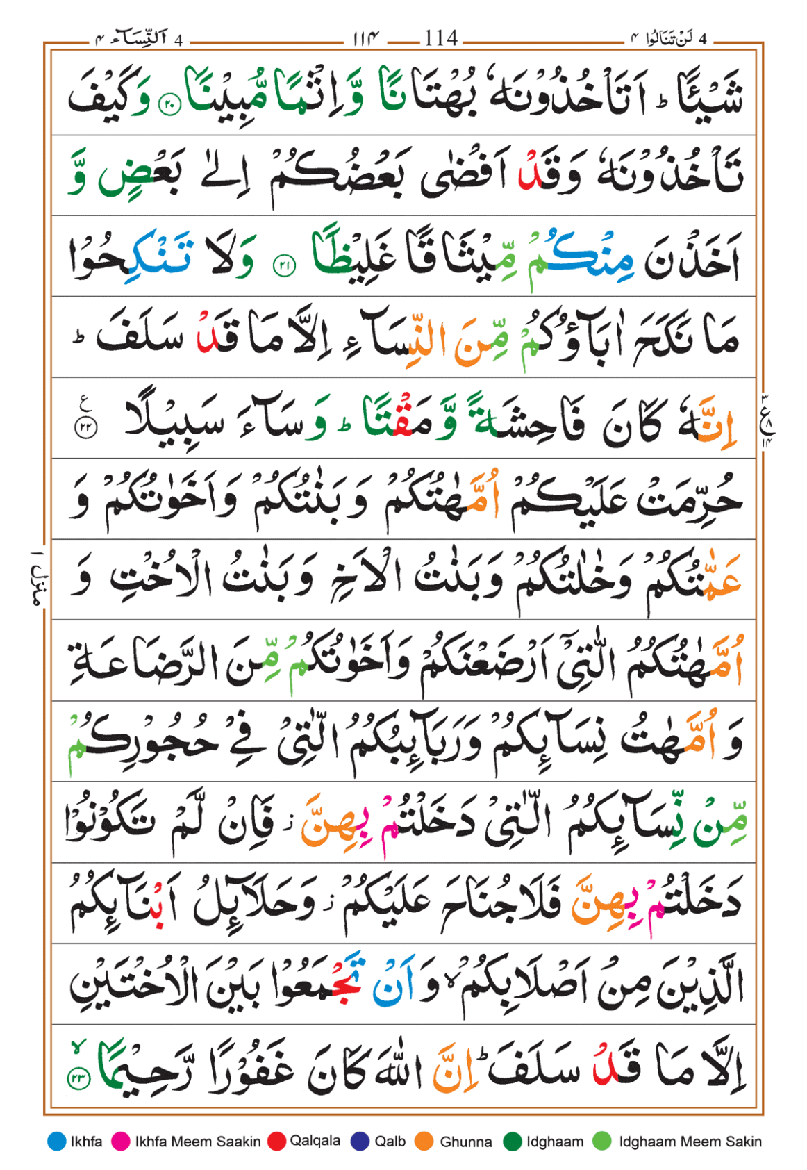 Page Background