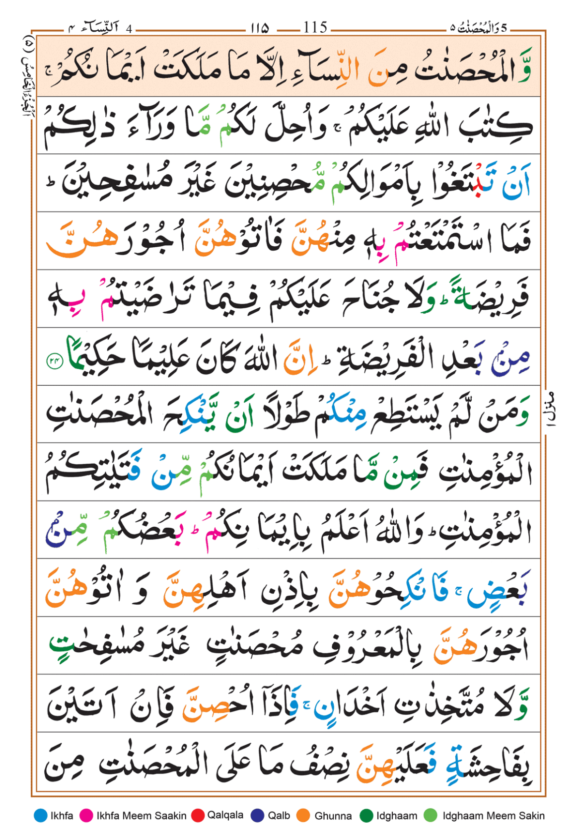 Page Background