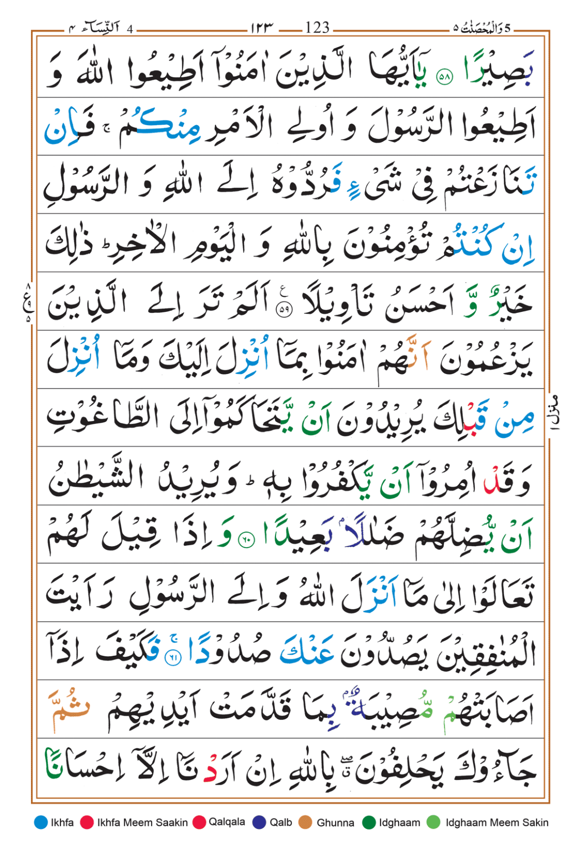Page Background