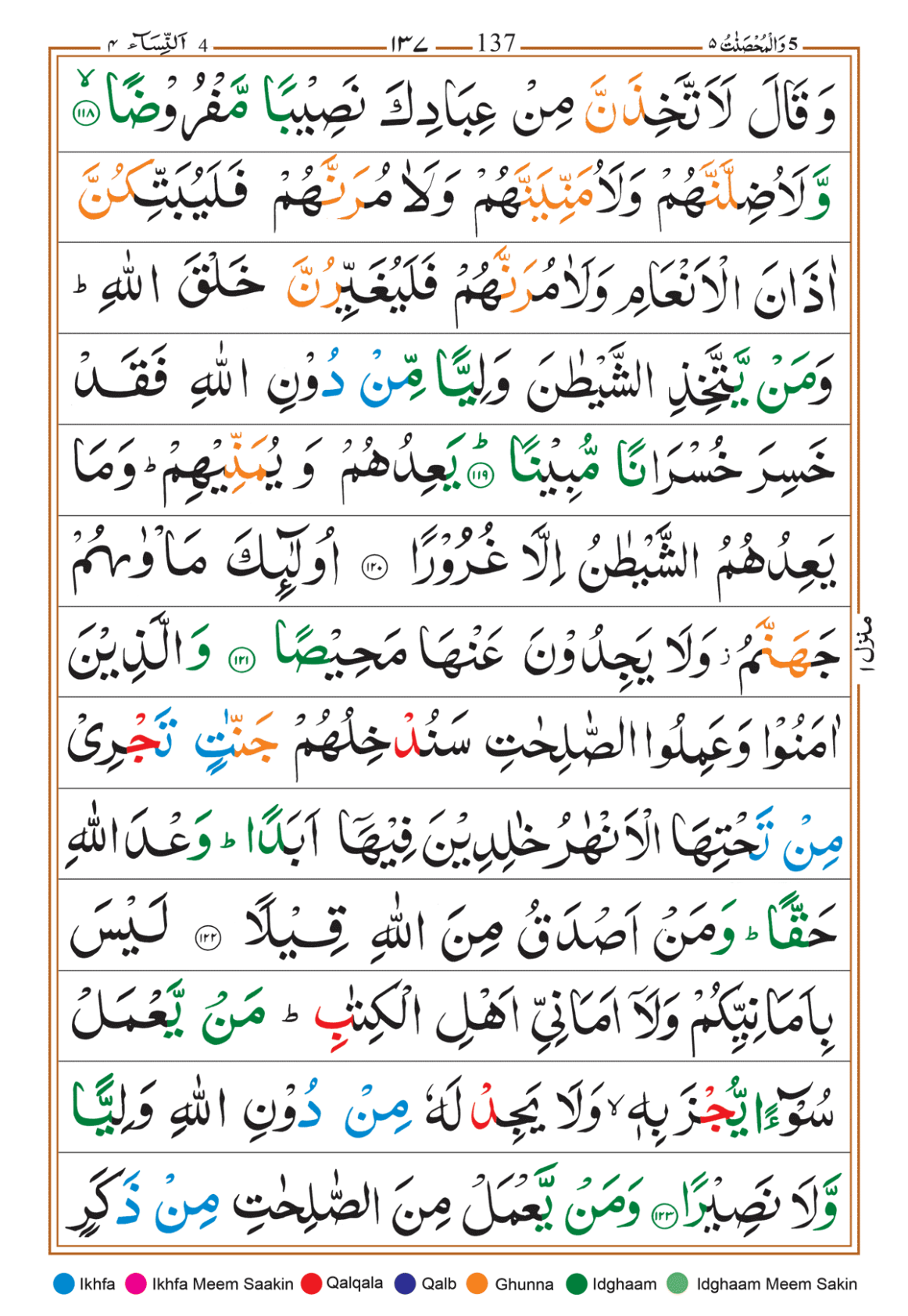 Page Background