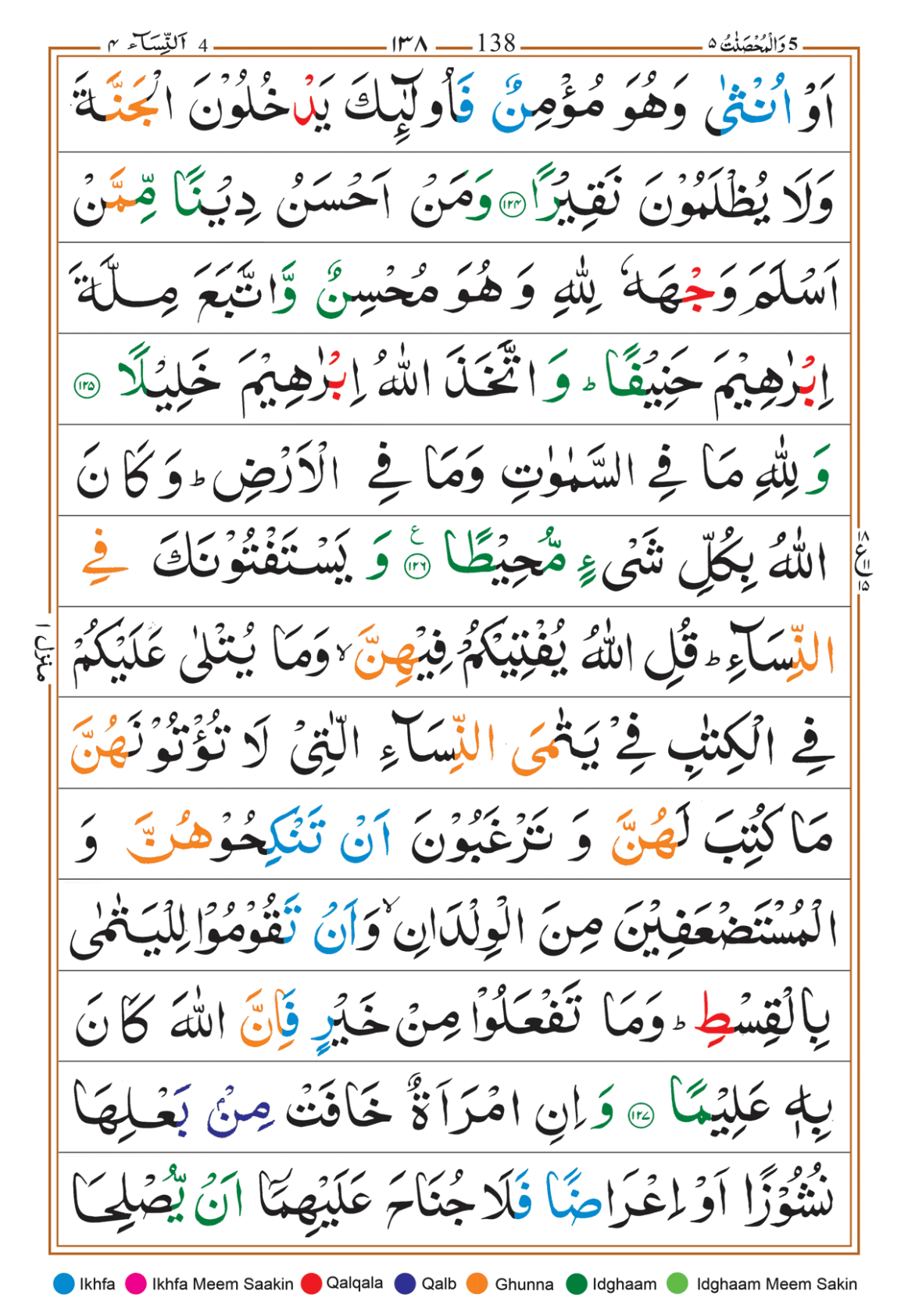 Page Background