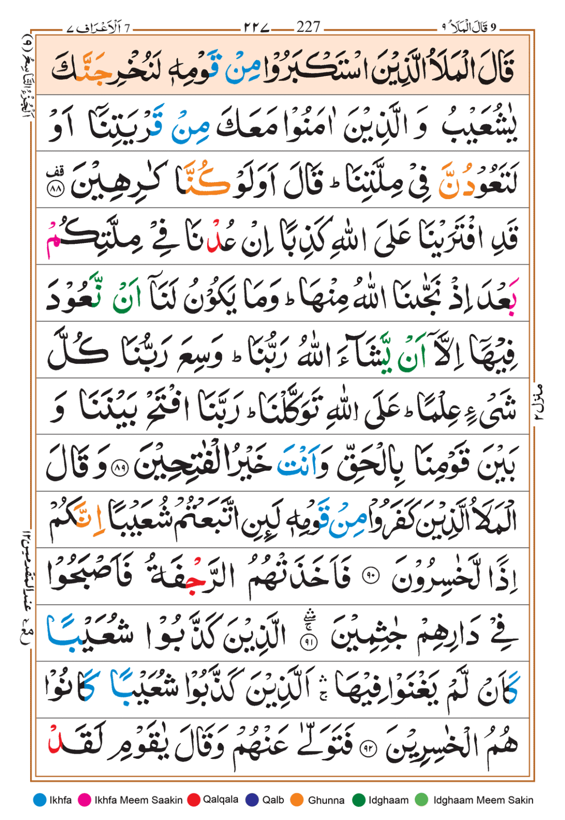 Page Background