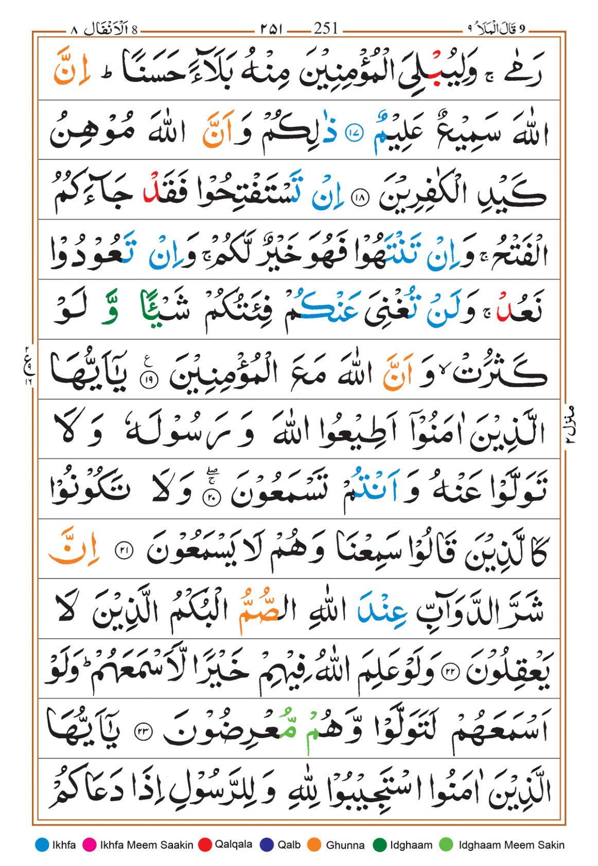 Page Background