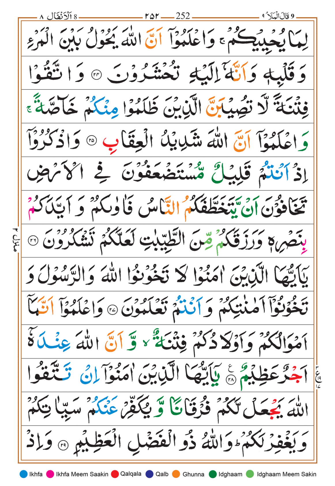 Page Background