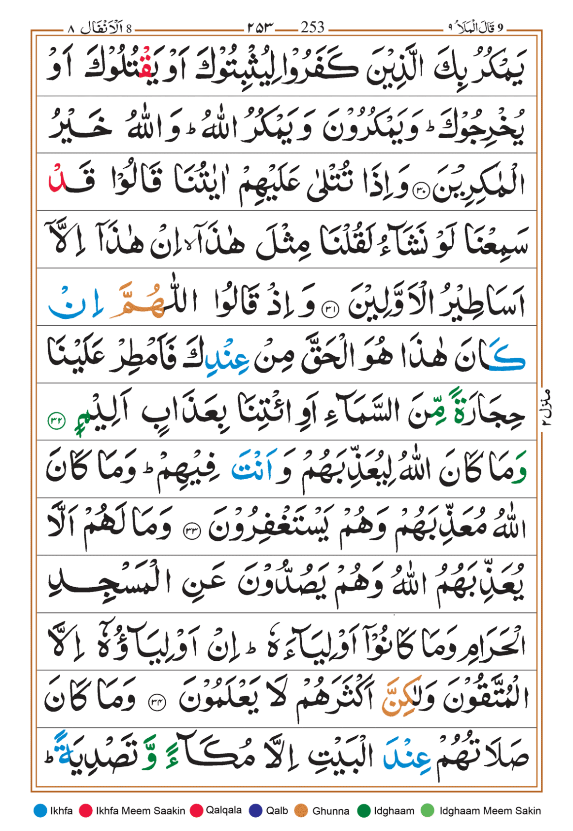 Page Background