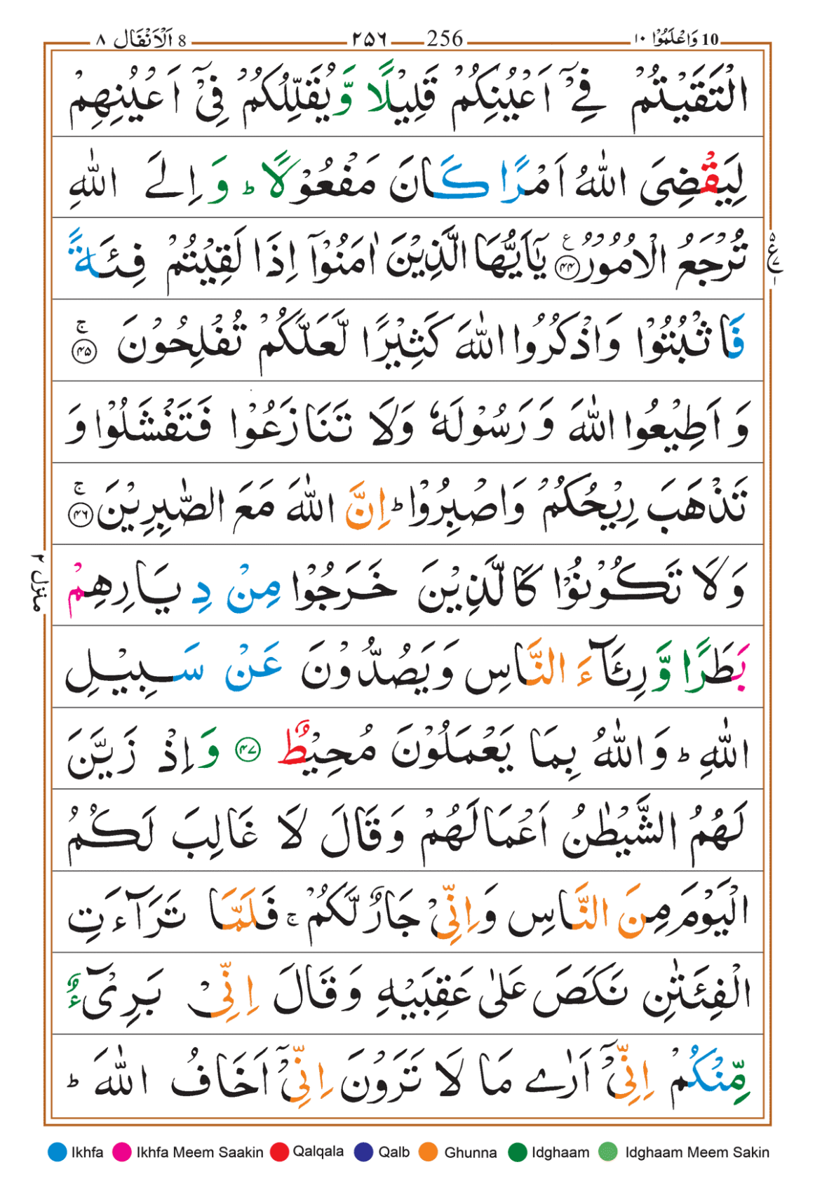 Page Background