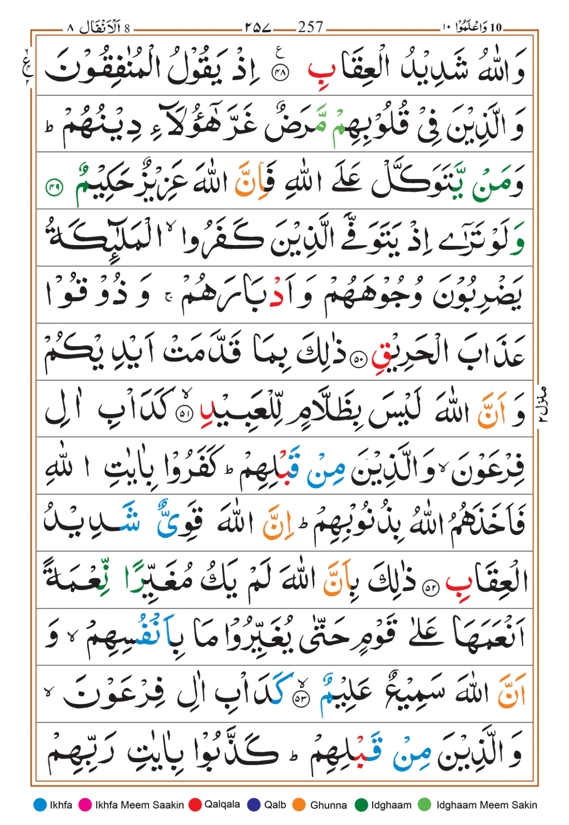 Page Background