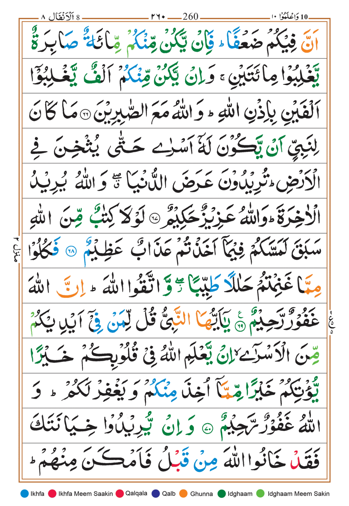 Page Background