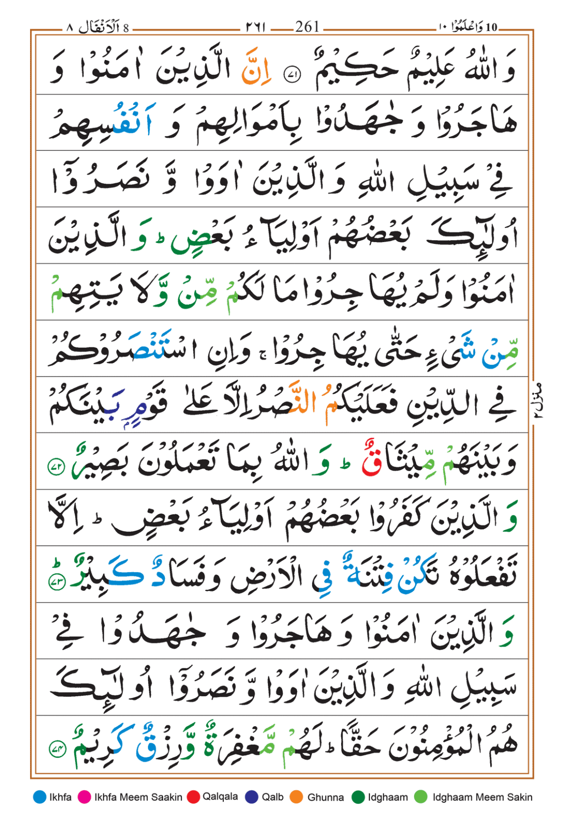 Page Background