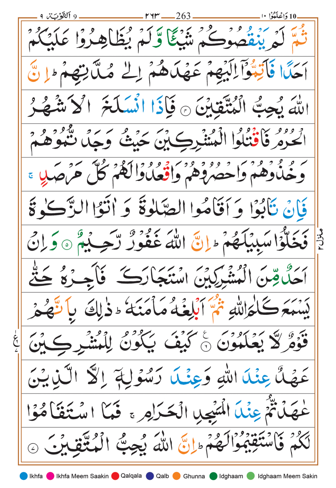 Page Background
