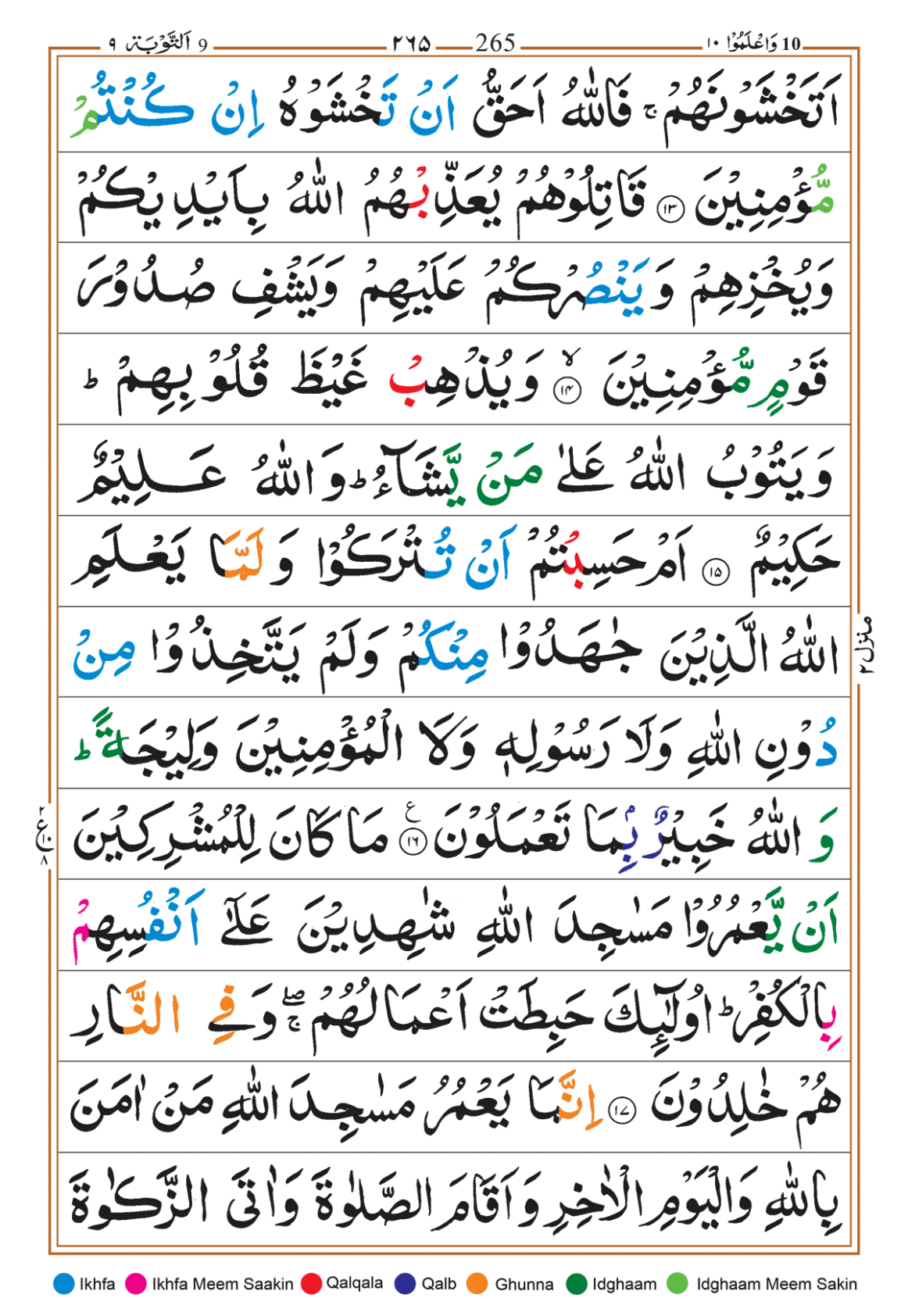 Page Background