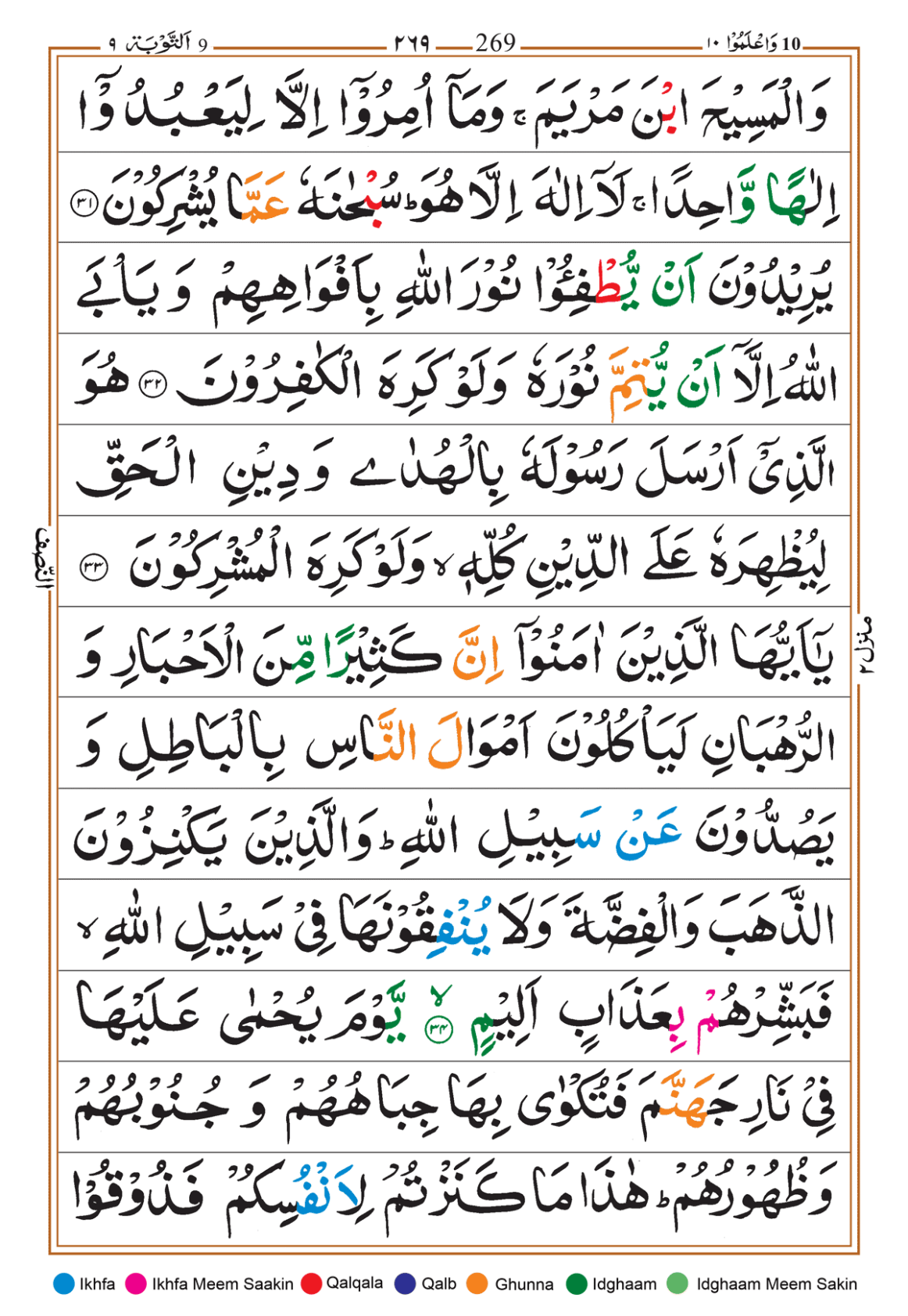 Page Background