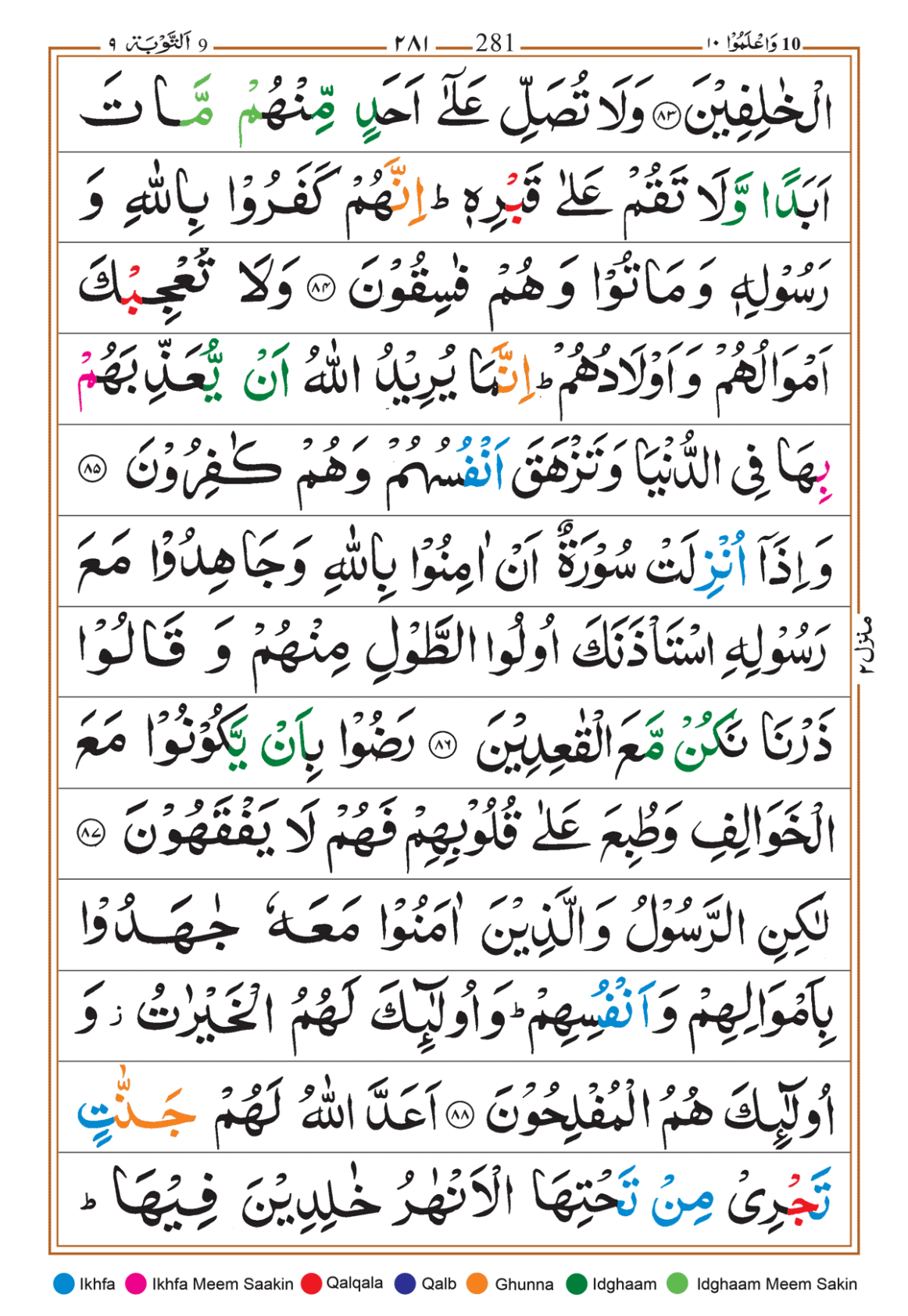 Page Background