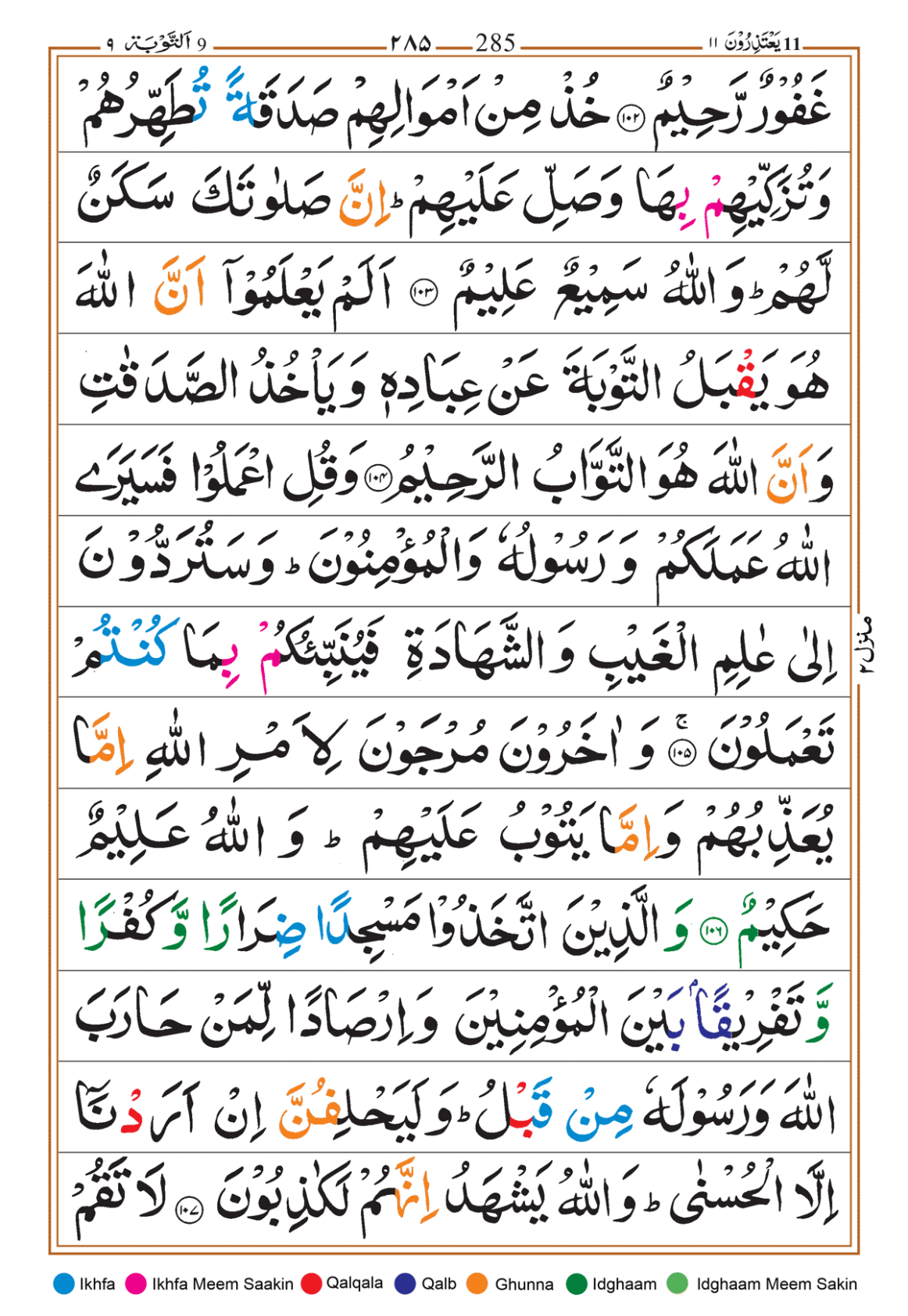 Page Background