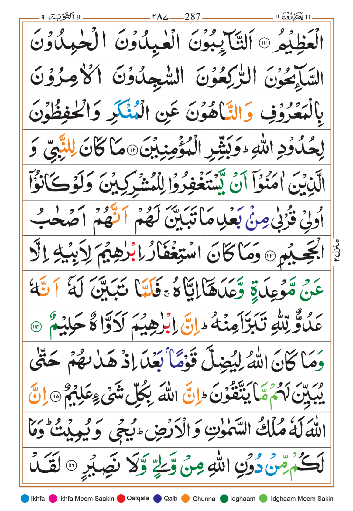 Page Background