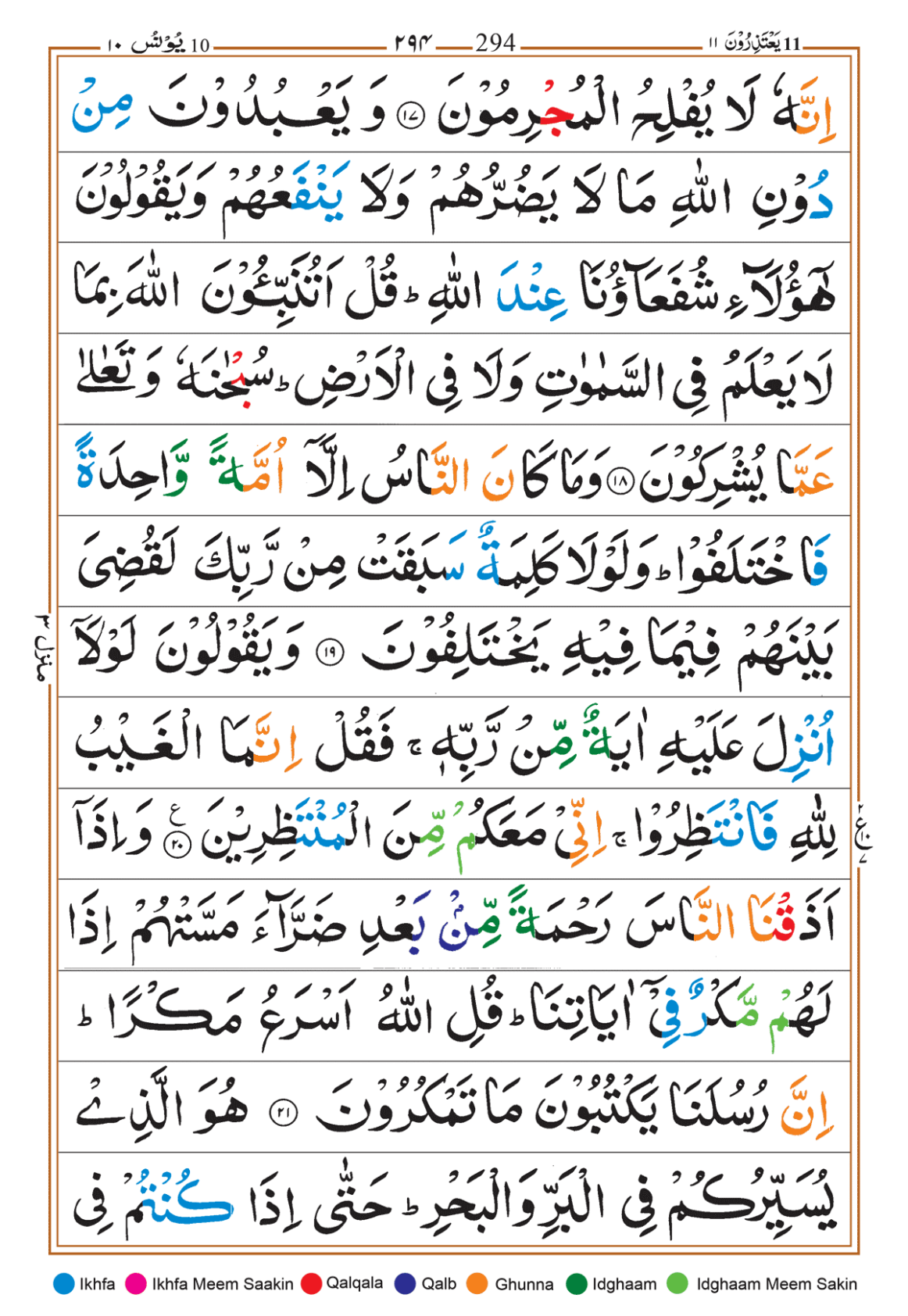 Page Background