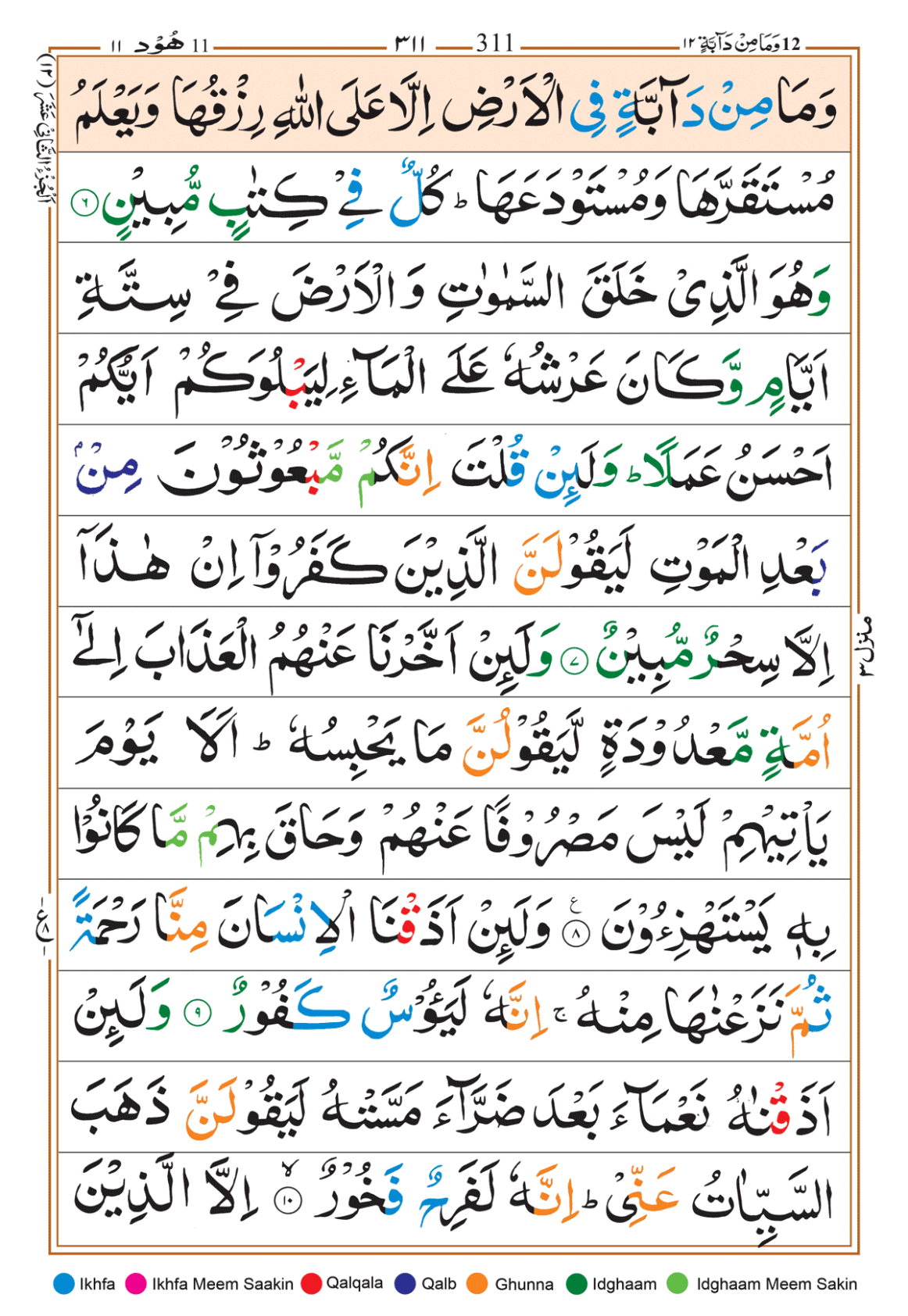 Page Background
