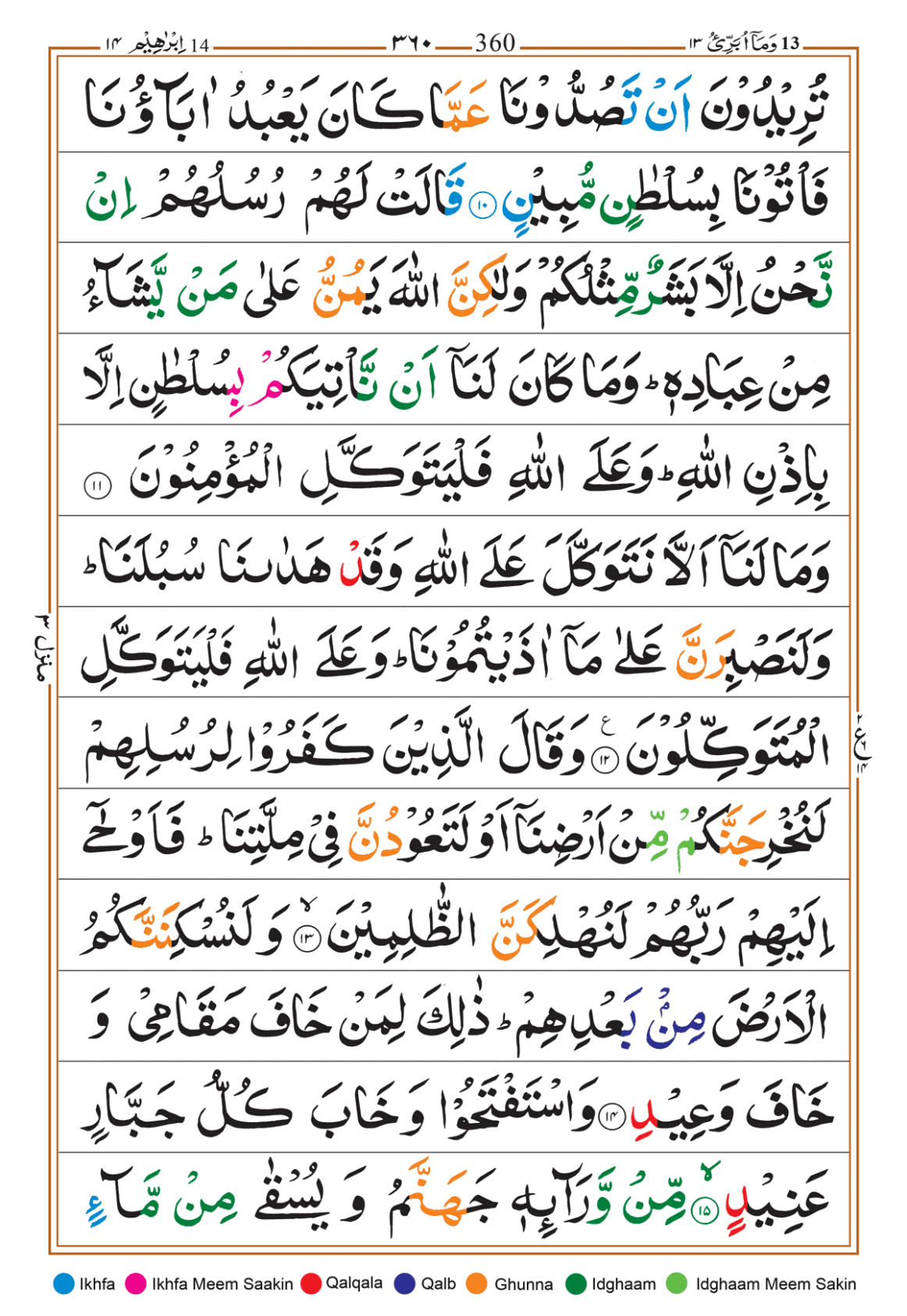 Page Background