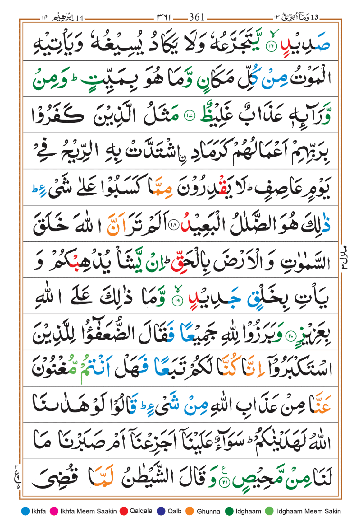 Page Background