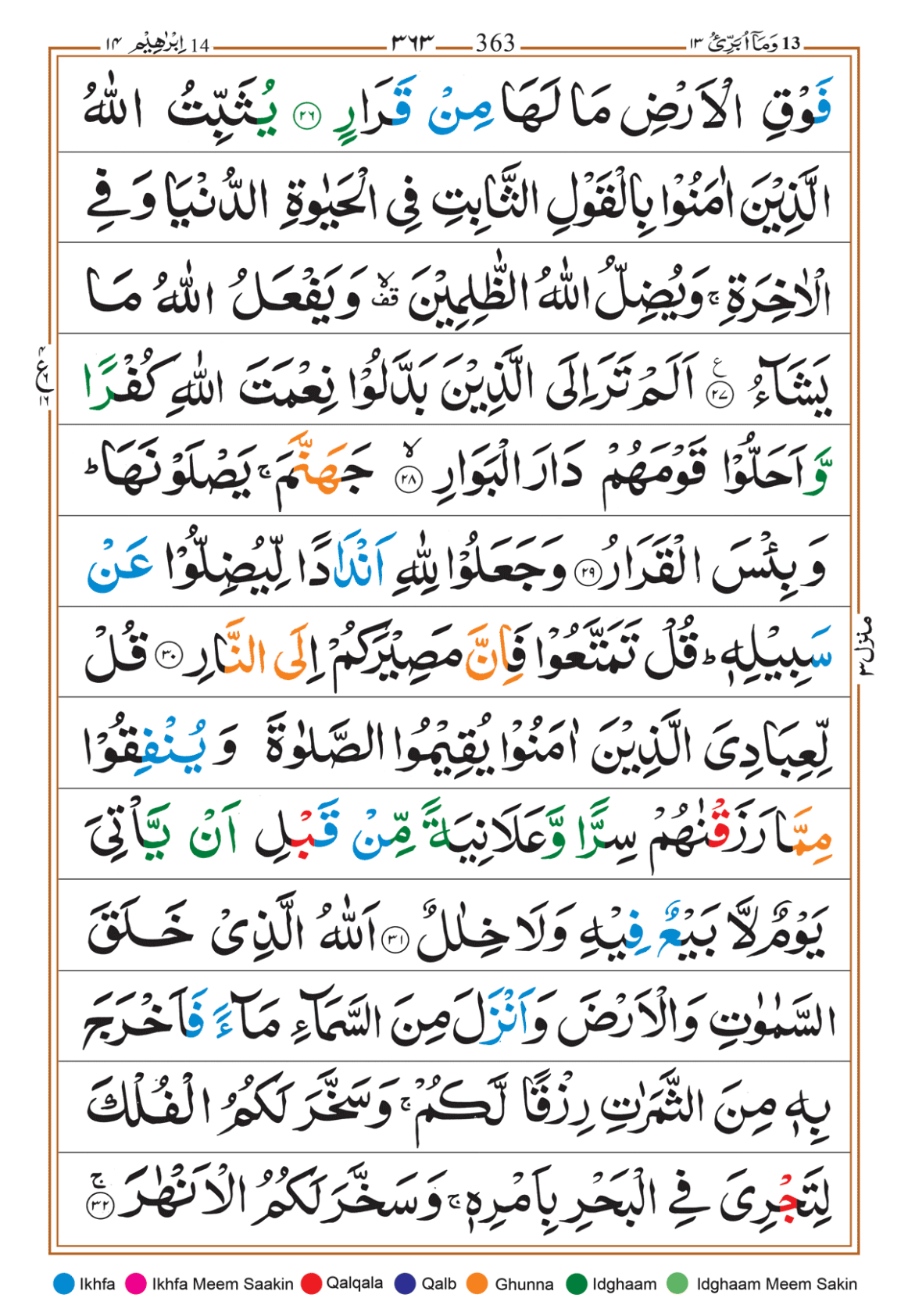 Page Background