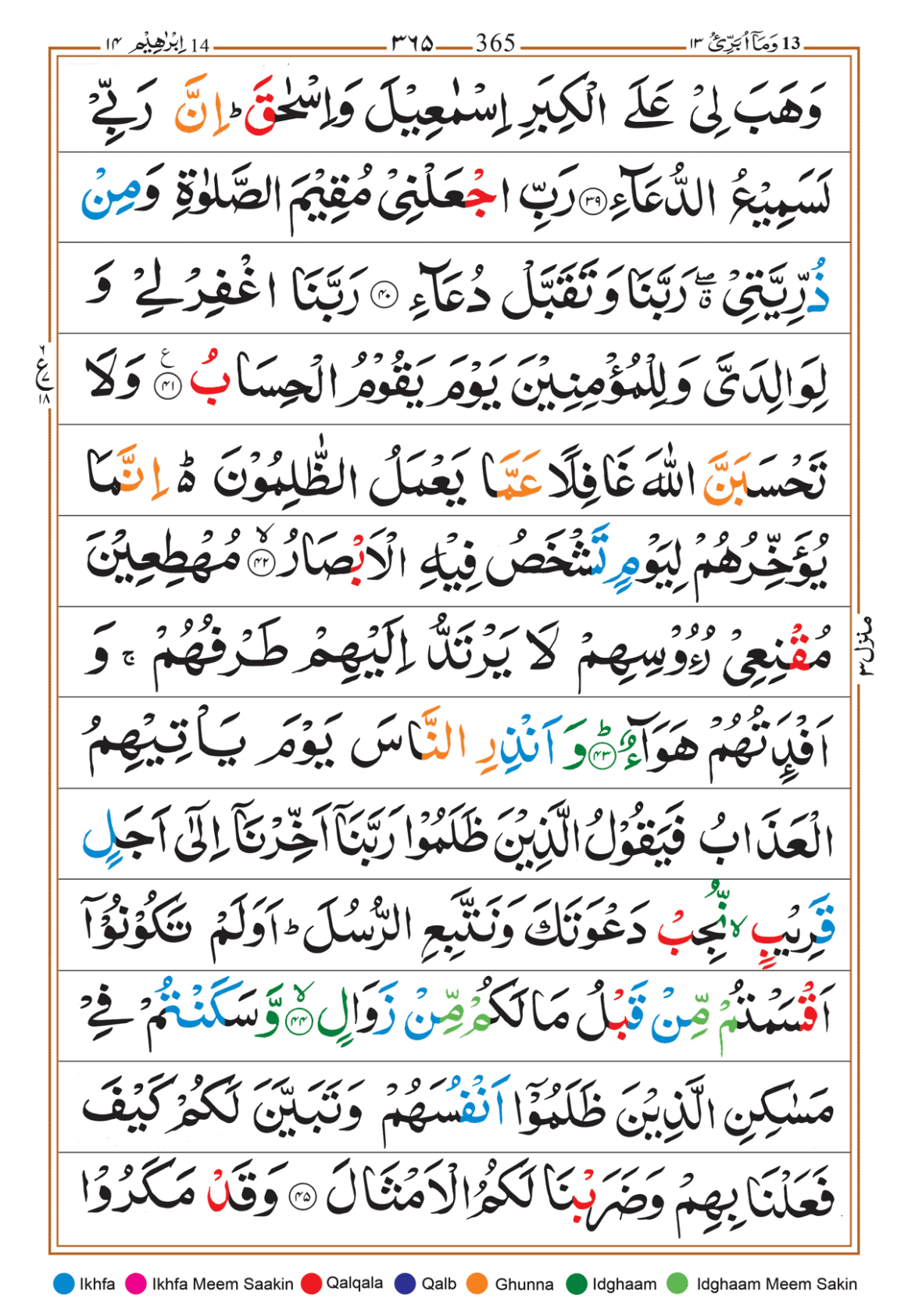 Page Background