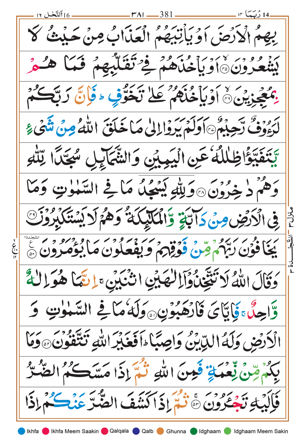 Page Background