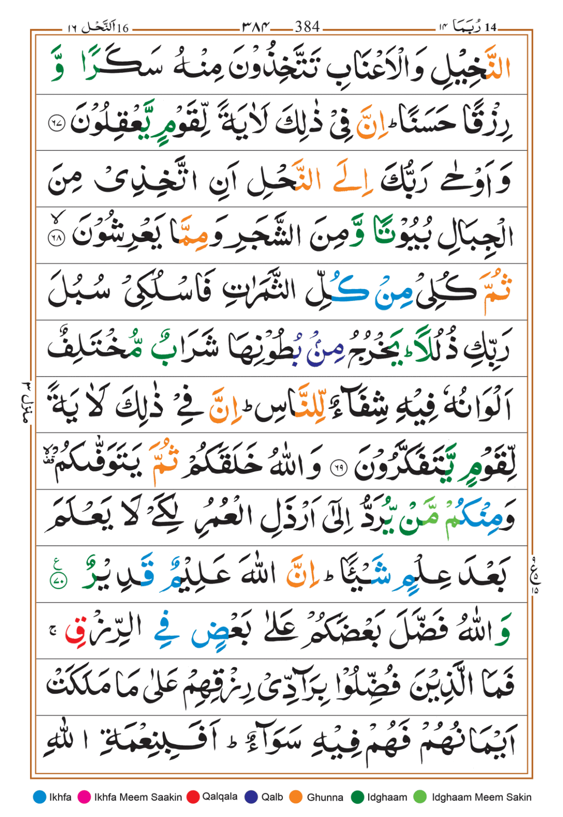 Page Background