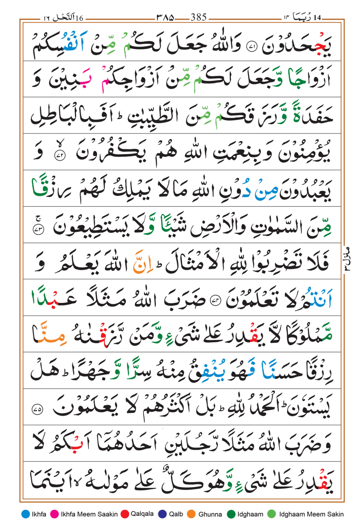 Page Background