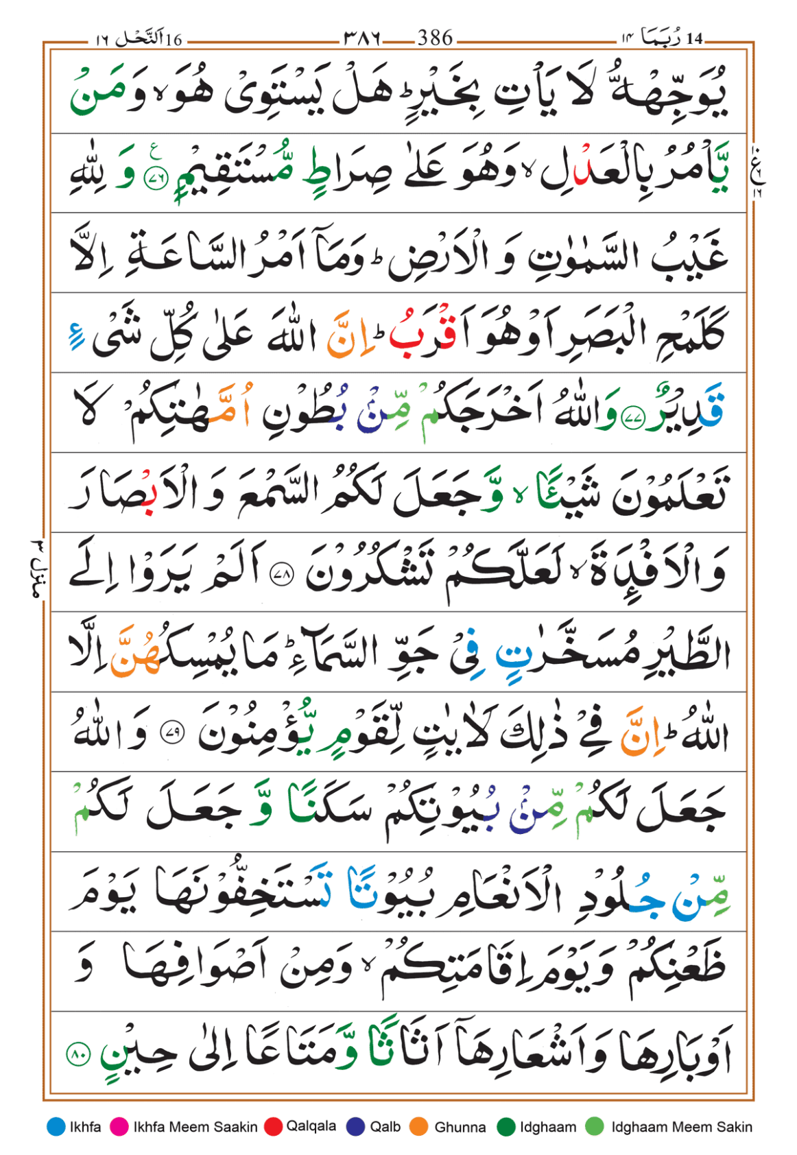 Page Background
