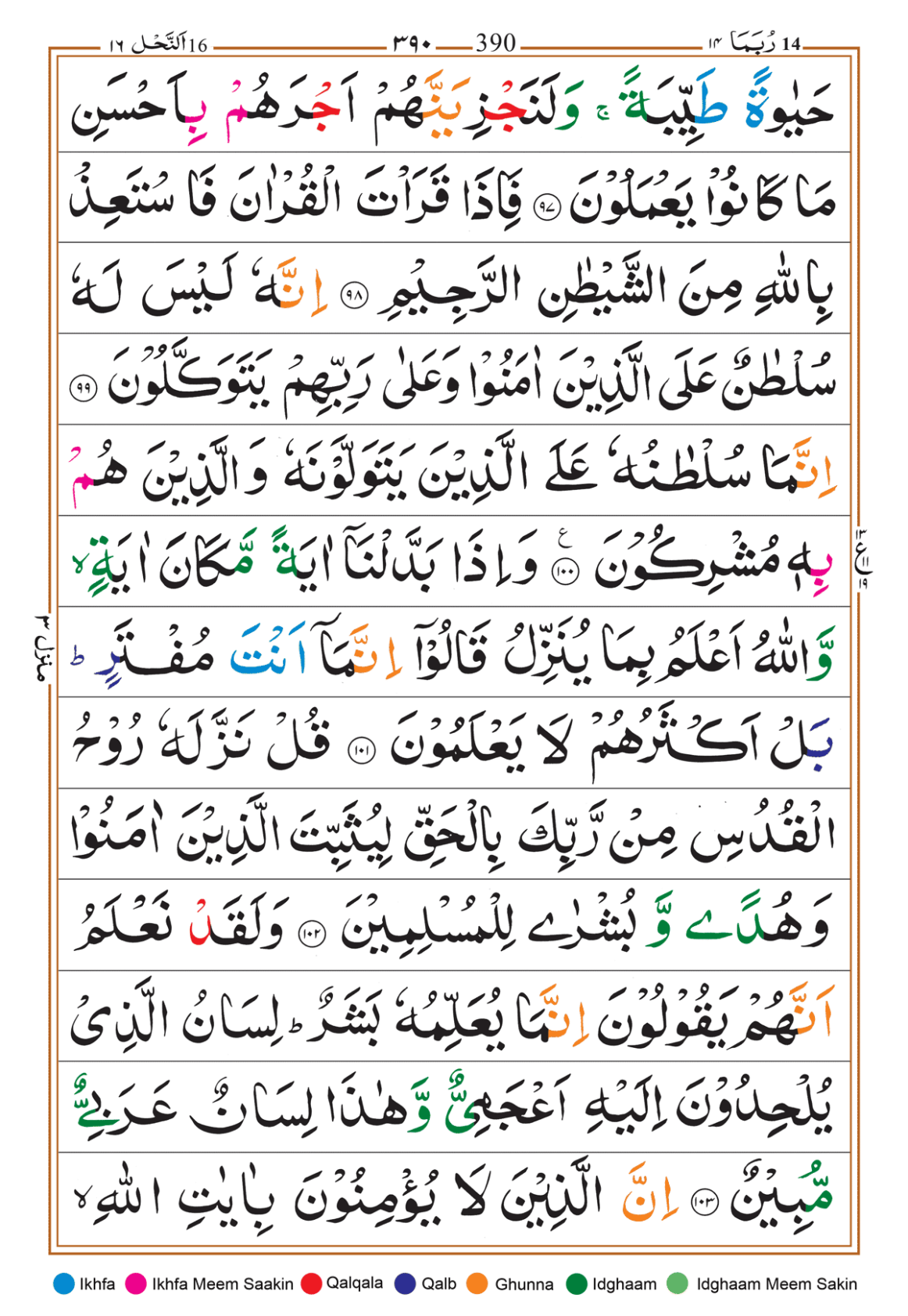 Page Background